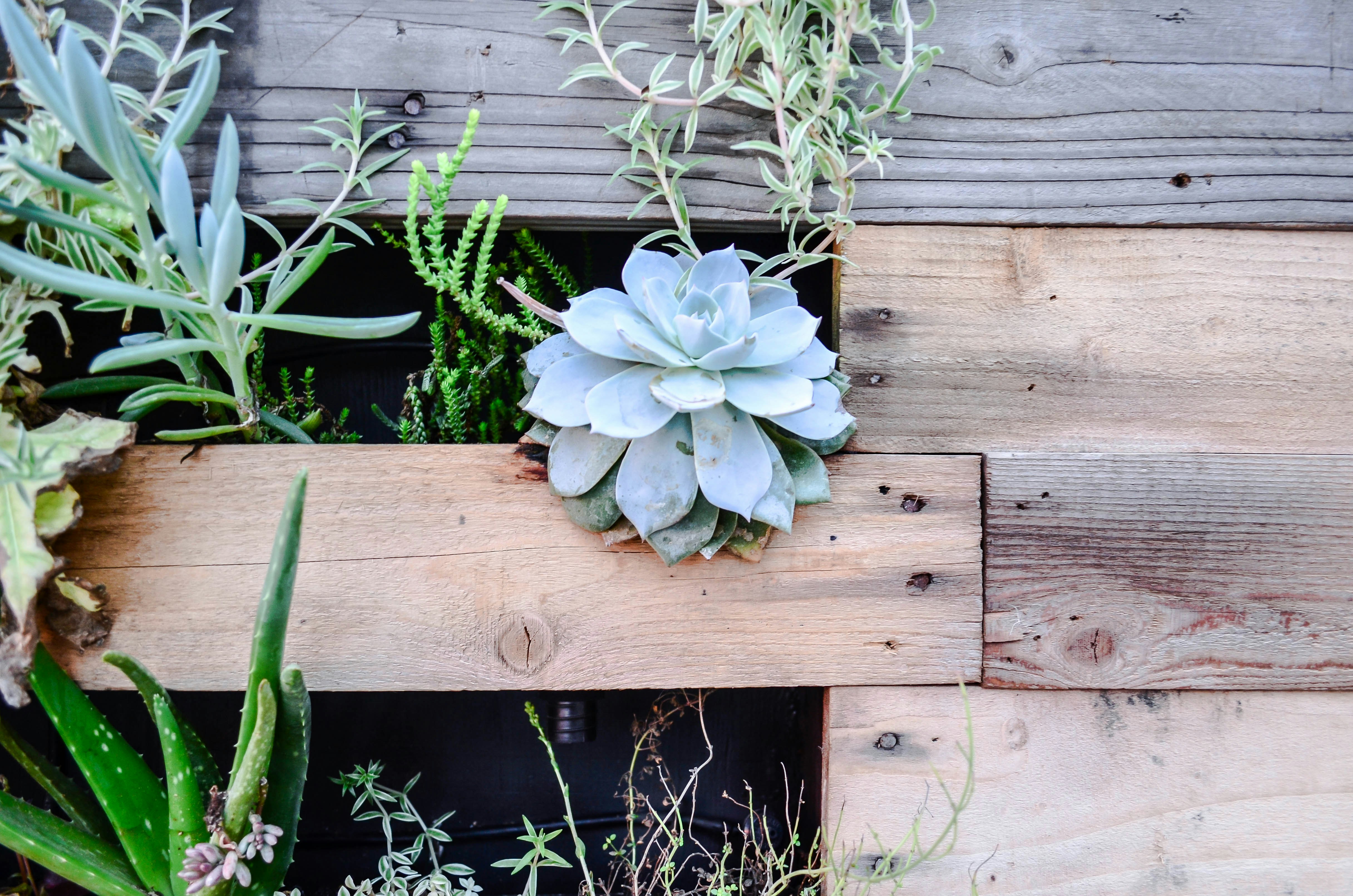 Free Unsplash photo from kelly newsom