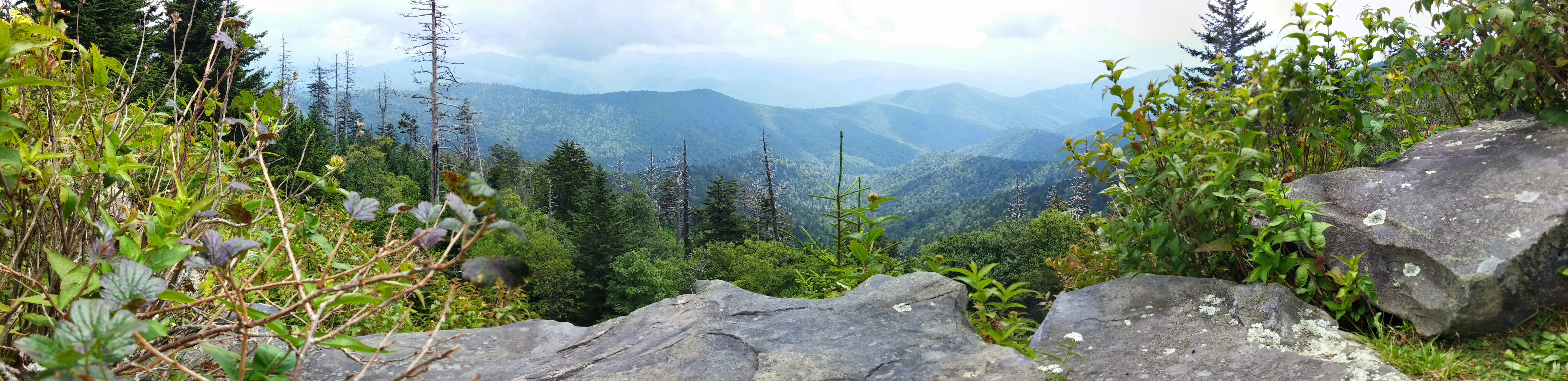 Free Unsplash photo from Peter Stevenson