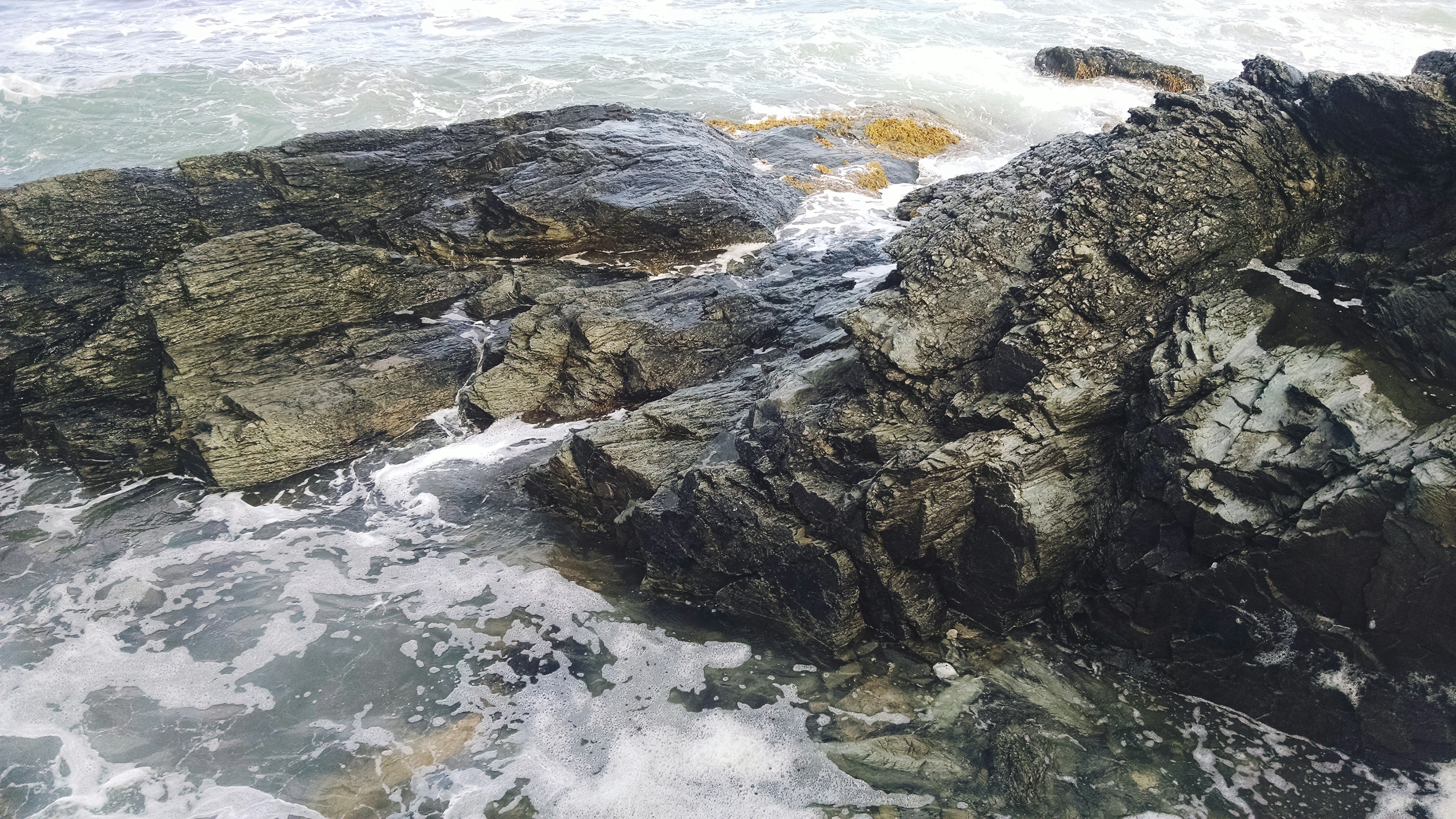 Free Unsplash photo from Caleb Amesbury