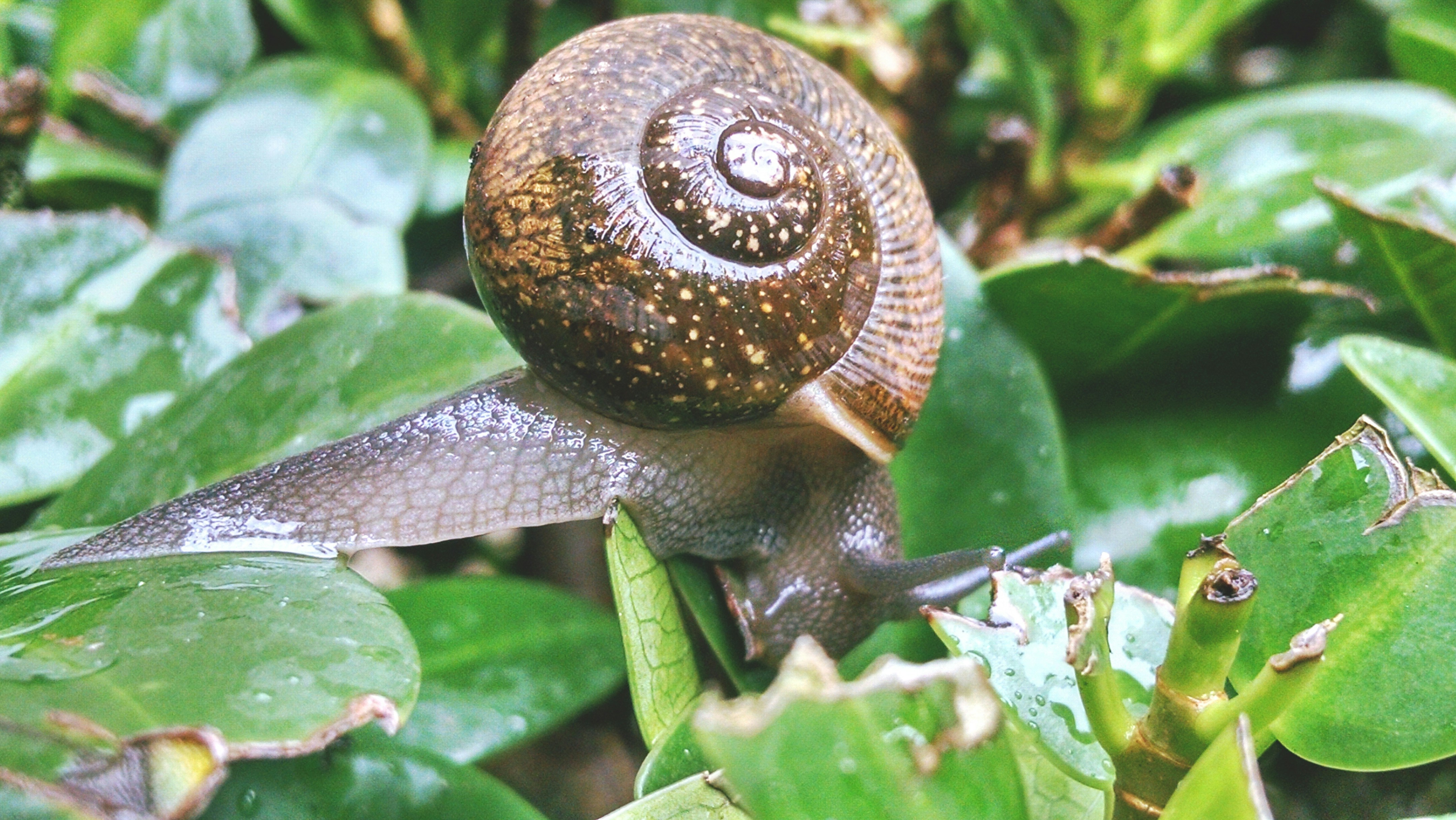 Free Unsplash photo from Caleb Amesbury