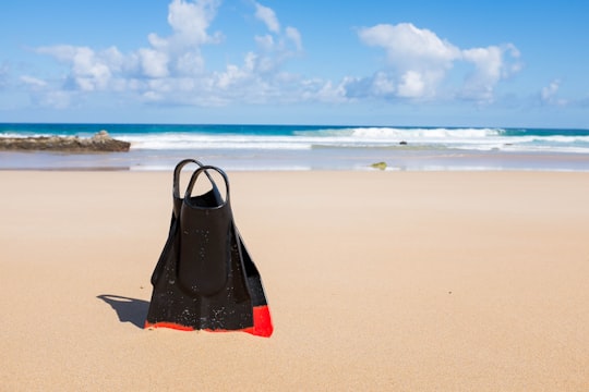 pair of black-and-red flippers on seashore in Fuerteventura Spain