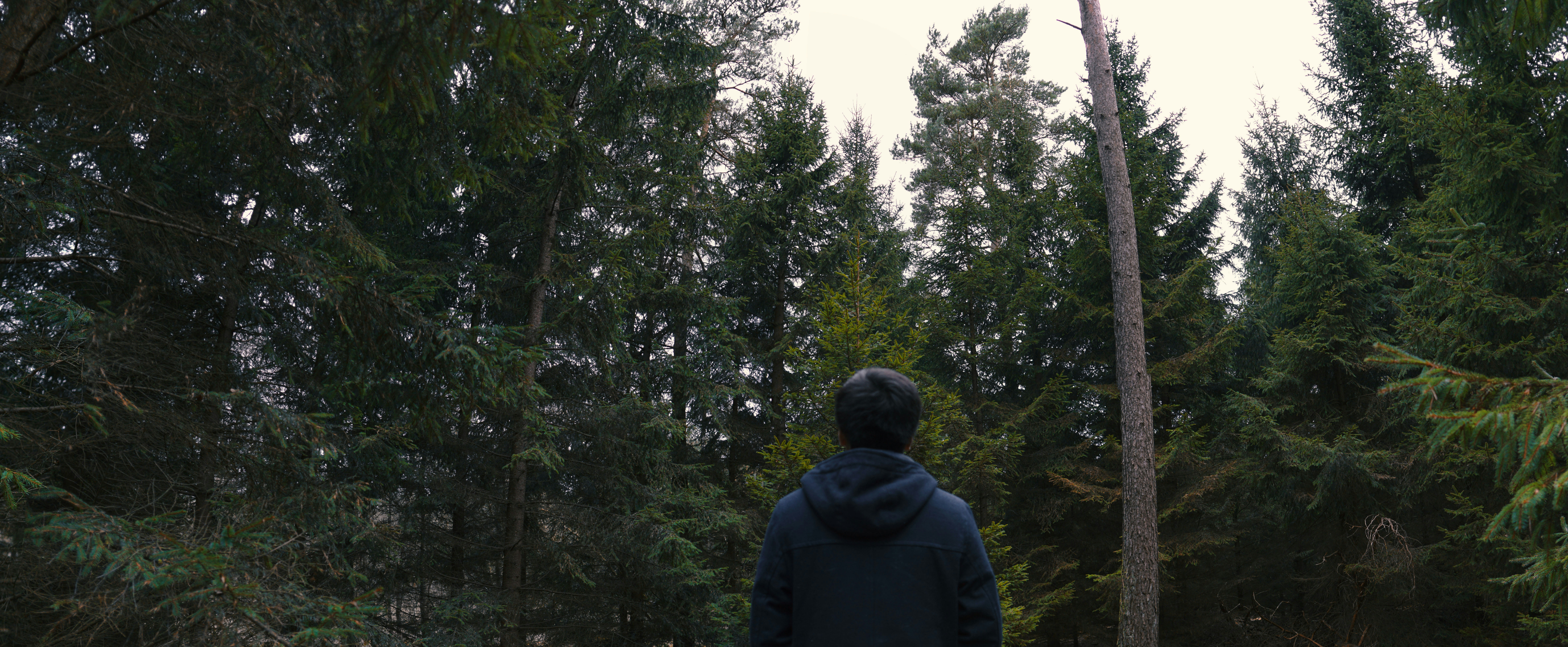 Free Unsplash photo from Willy Wonka