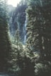 Curtis Falls Tamborine Mountain rainforest waterfall, Gold Coast hinterland