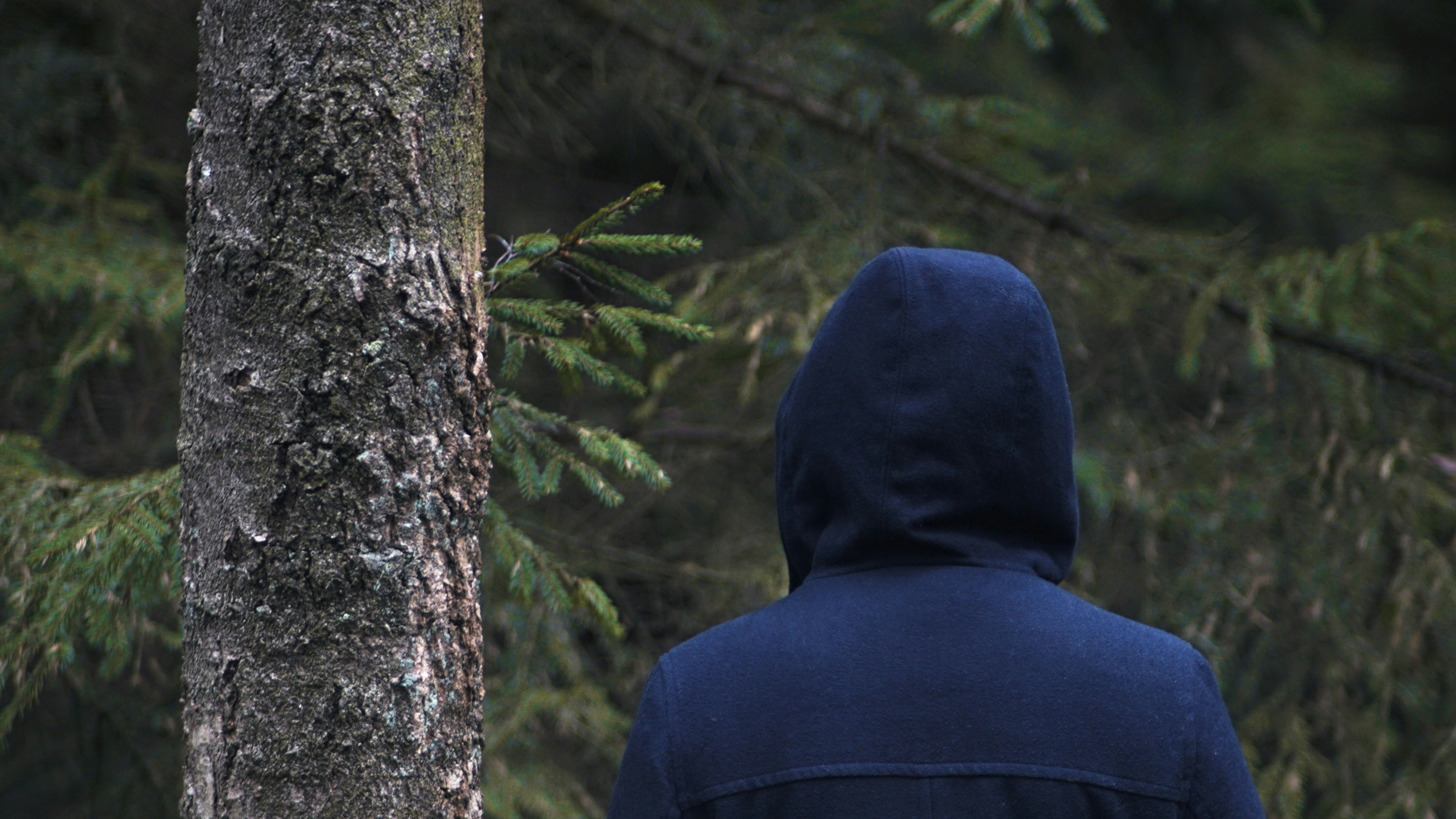 Free Unsplash photo from Willy Wonka