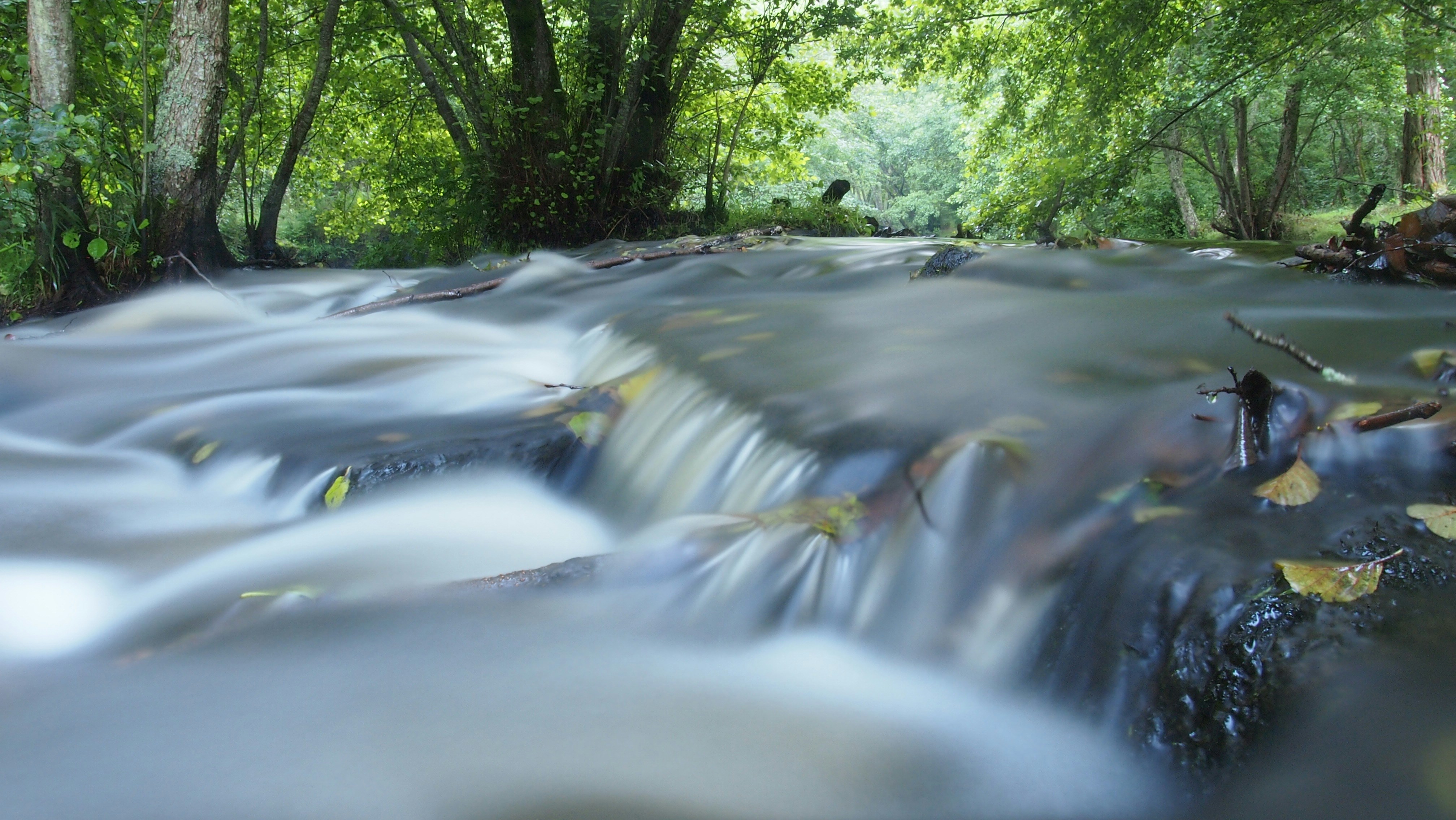 Free Unsplash photo from Maximilien Regout