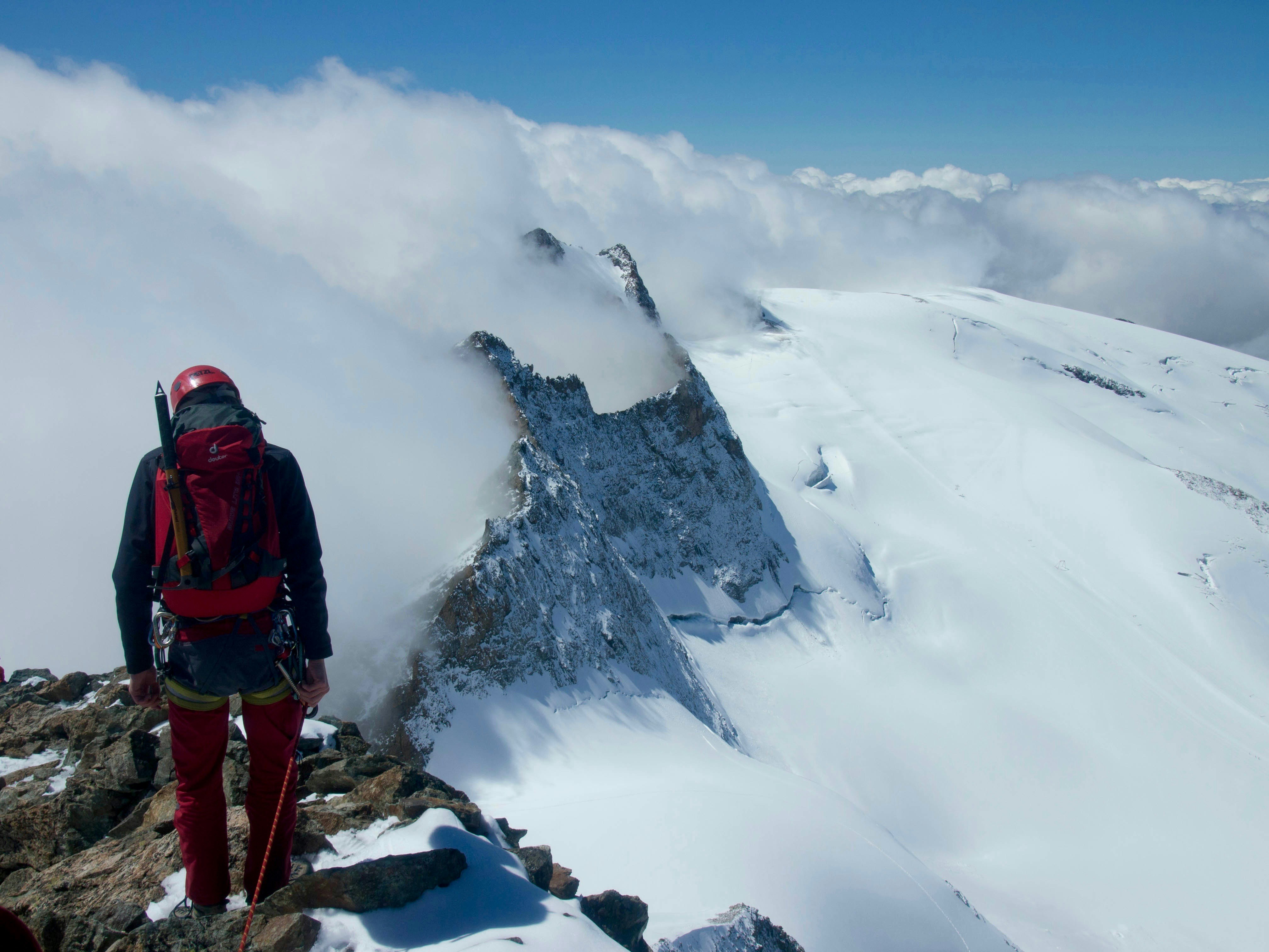 Free Unsplash photo from Maximilien Regout