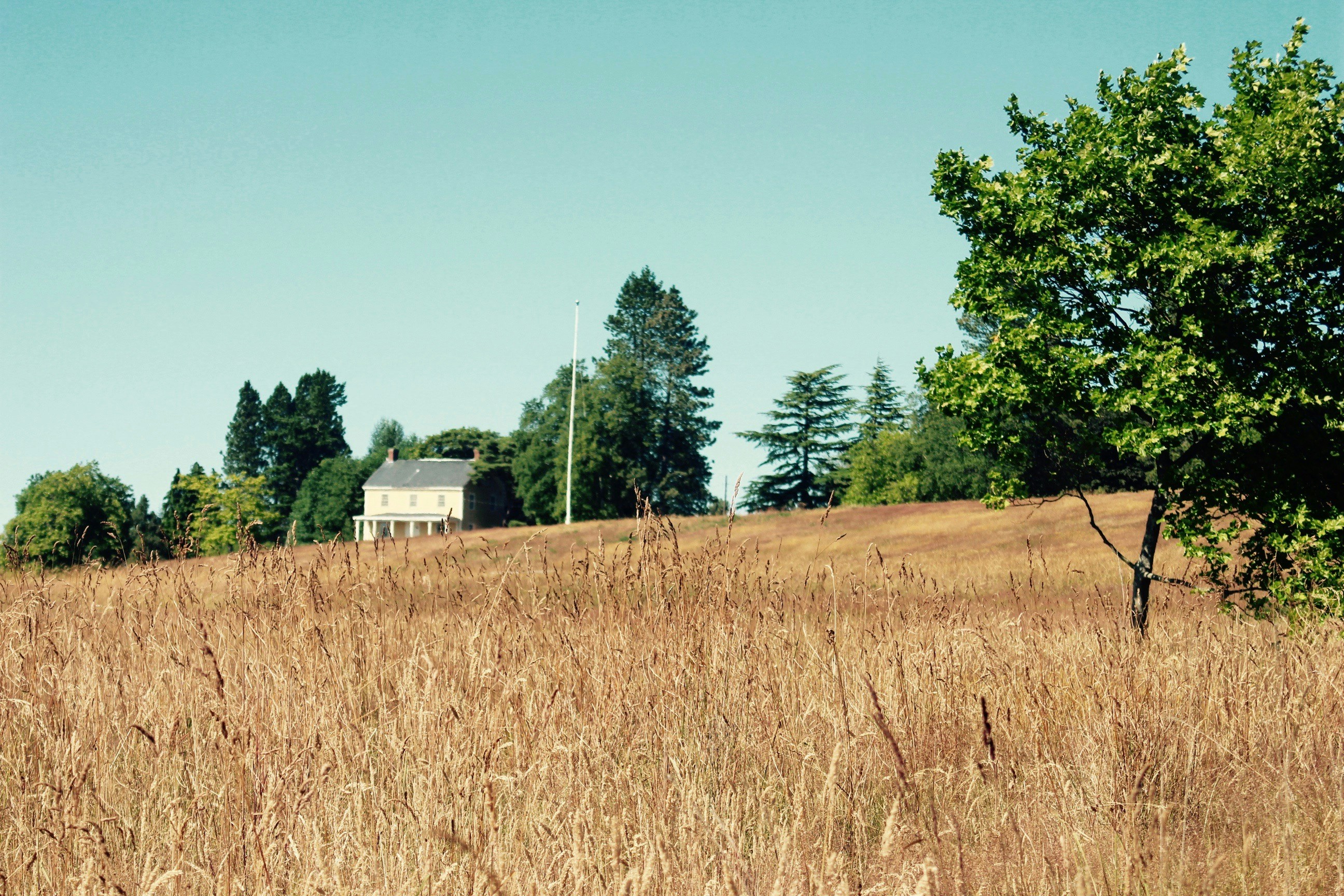 Free Unsplash photo from Brian Johnson