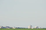 Open land plot framed by a clear blue sky and urban skyline.