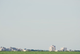 Spacious empty land plot with clear skies and city skyline in the distance.