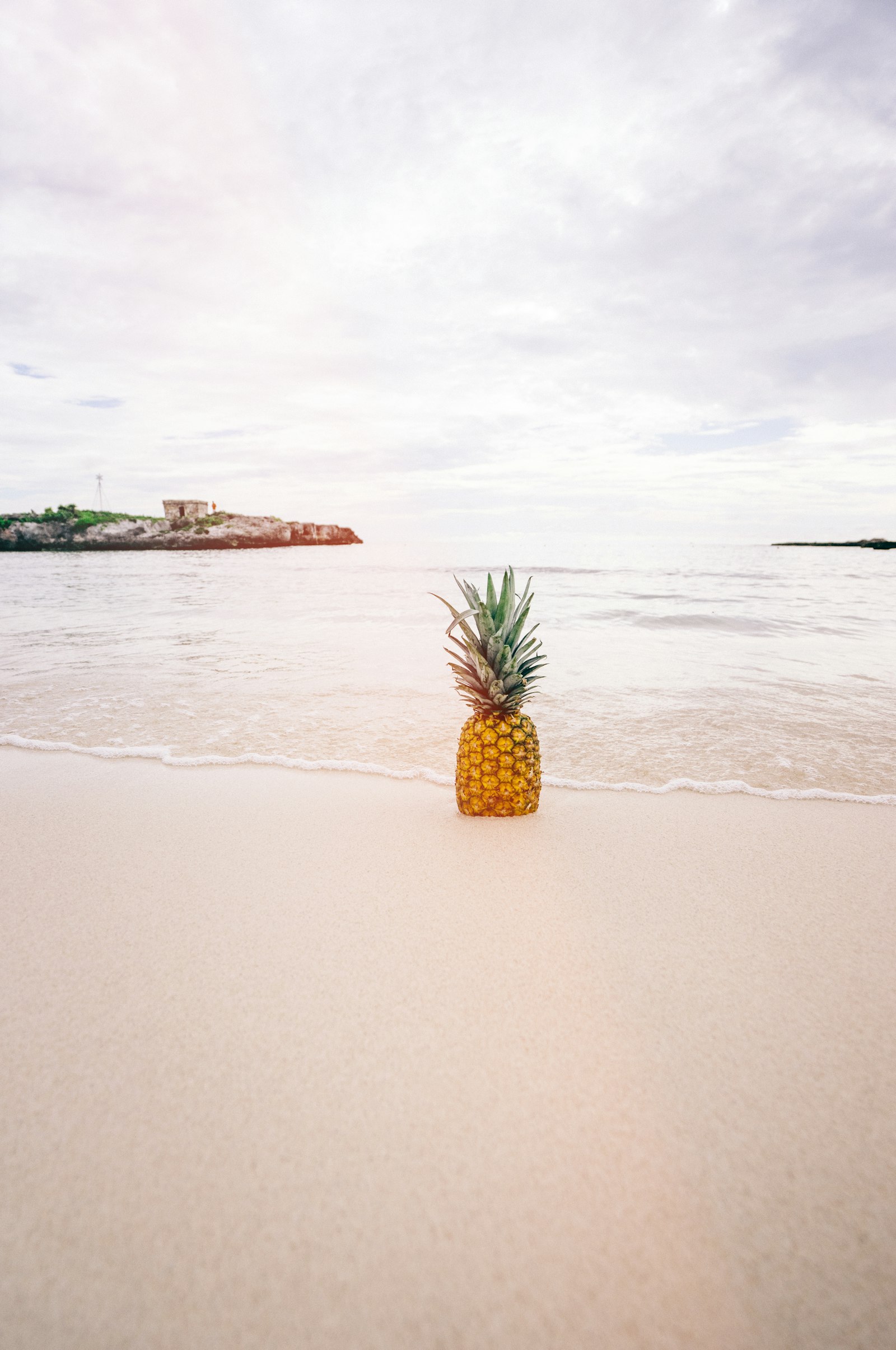 Sony a7 II + Sony Vario-Tessar T* FE 16-35mm F4 ZA OSS sample photo. Pineapple on sand near photography