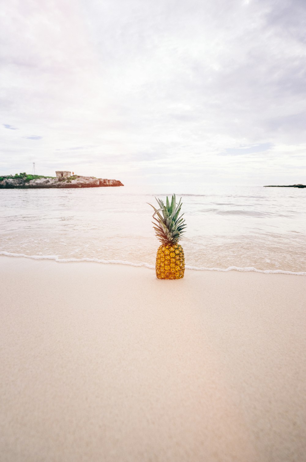 Ananas sulla sabbia vicino alla spiaggia