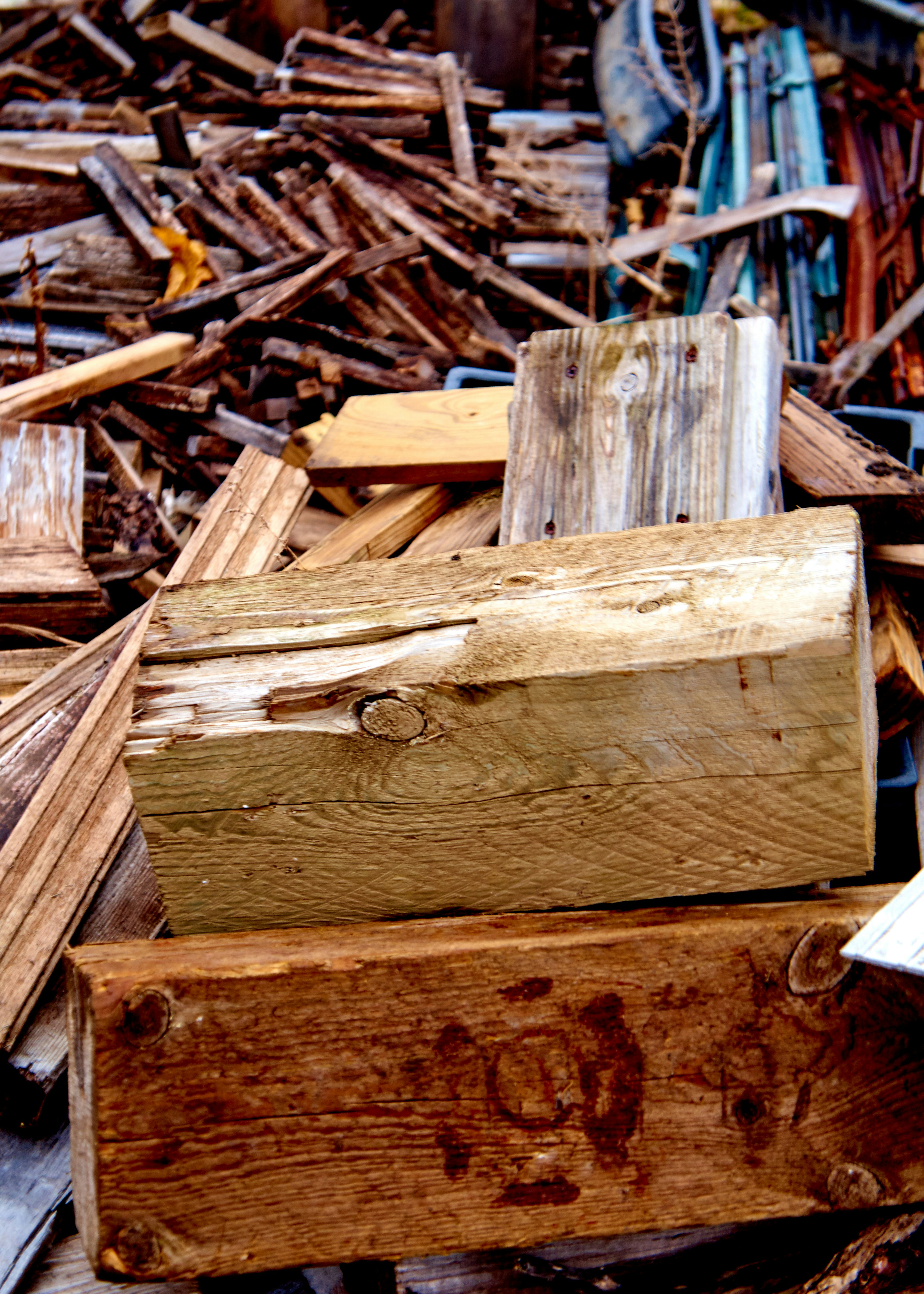 Free Unsplash photo from Scott Wilder