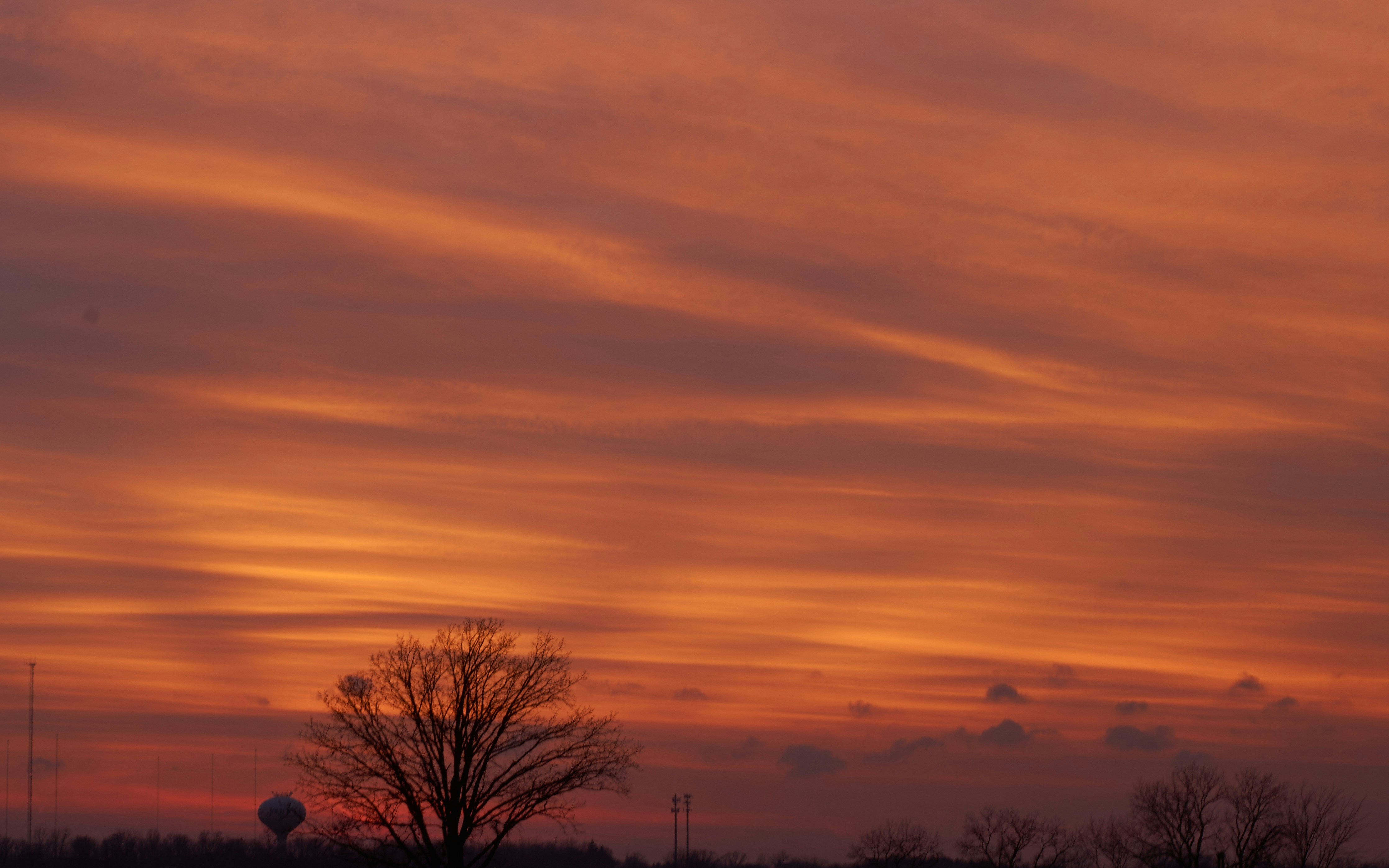 Free Unsplash photo from Scott Wilder