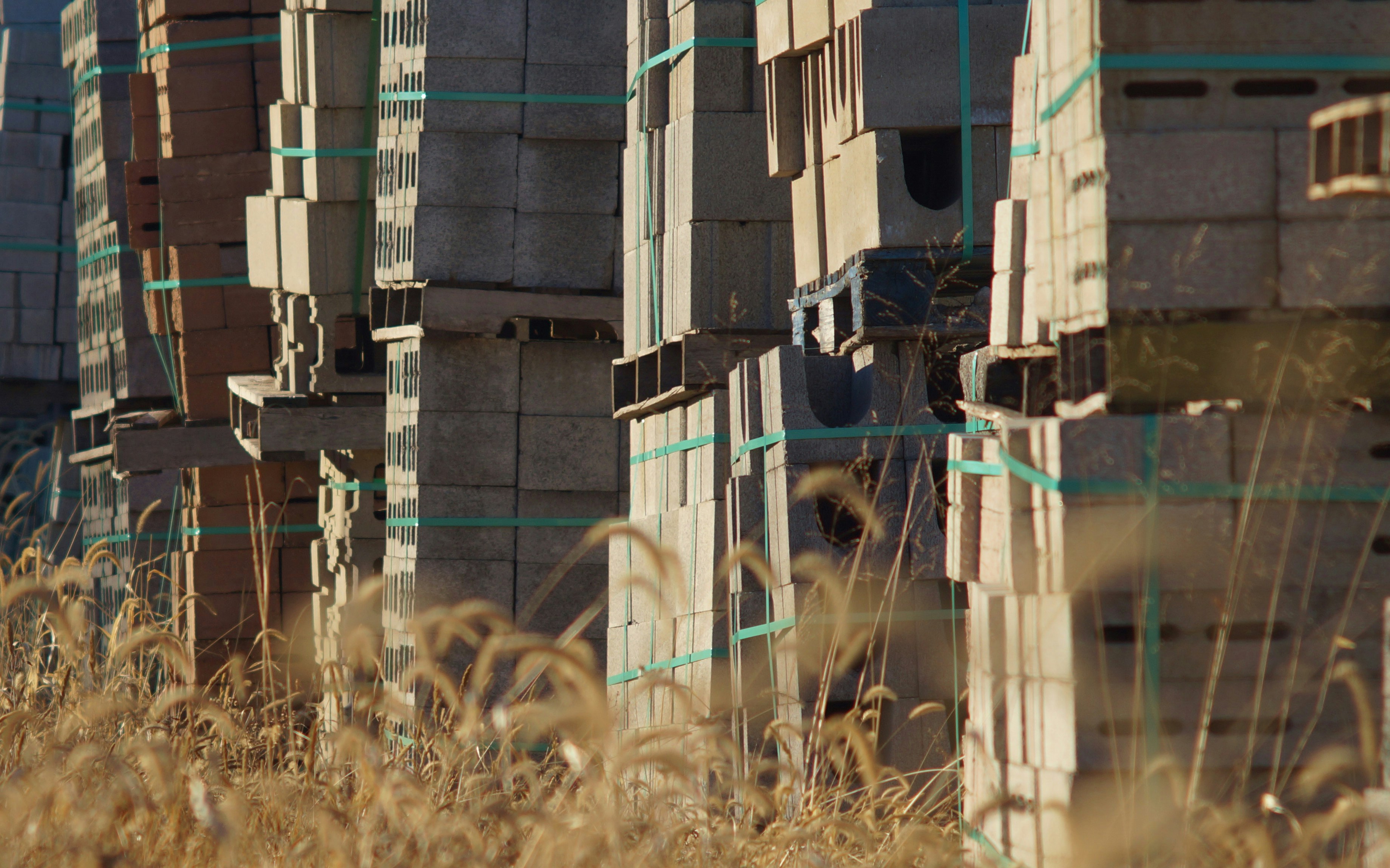 Free Unsplash photo from Scott Wilder