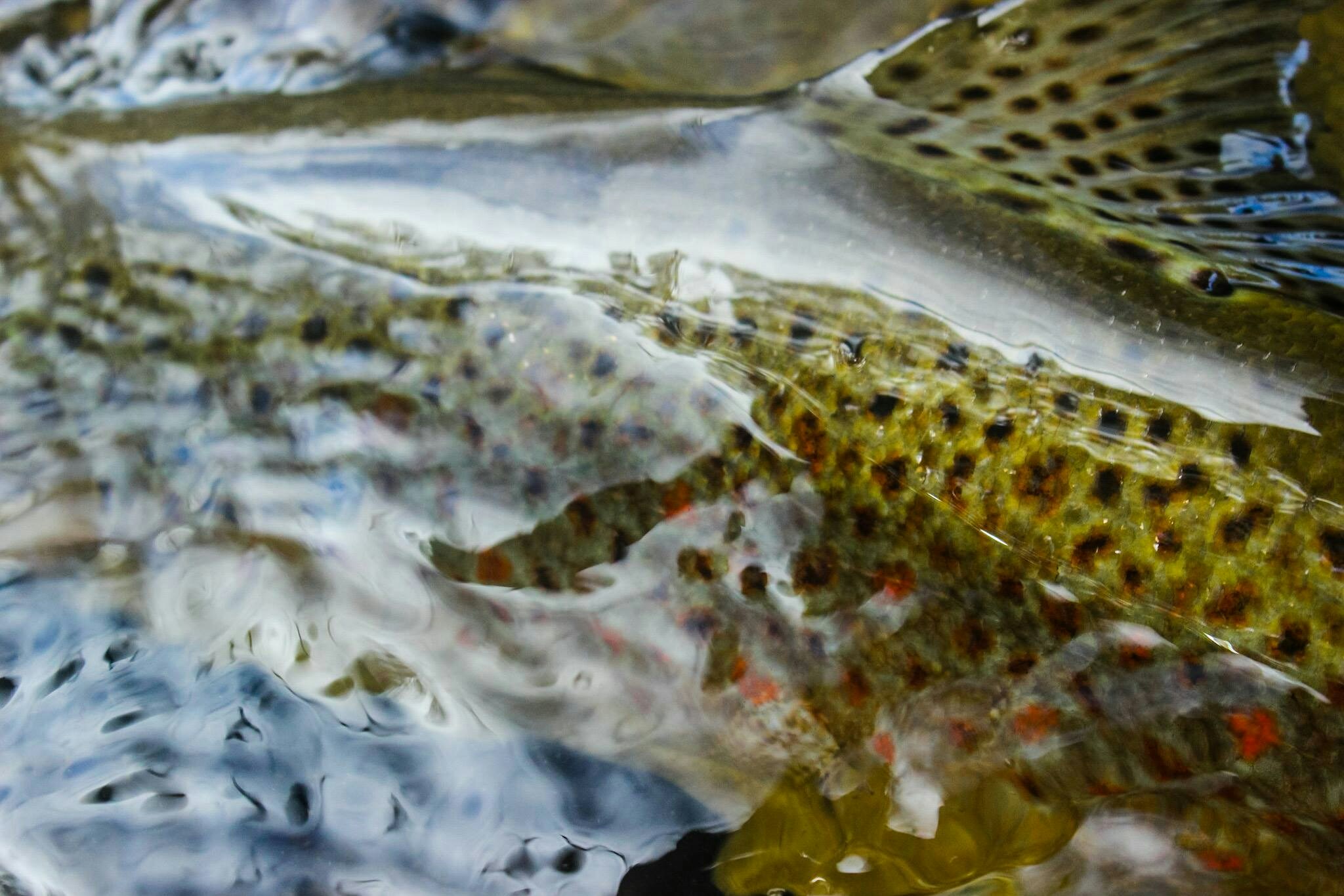 Free Unsplash photo from Geoffrey Berntsen