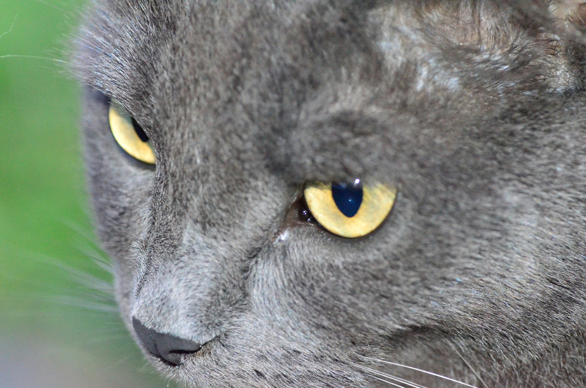 Free Unsplash photo from TRISHA LUNA