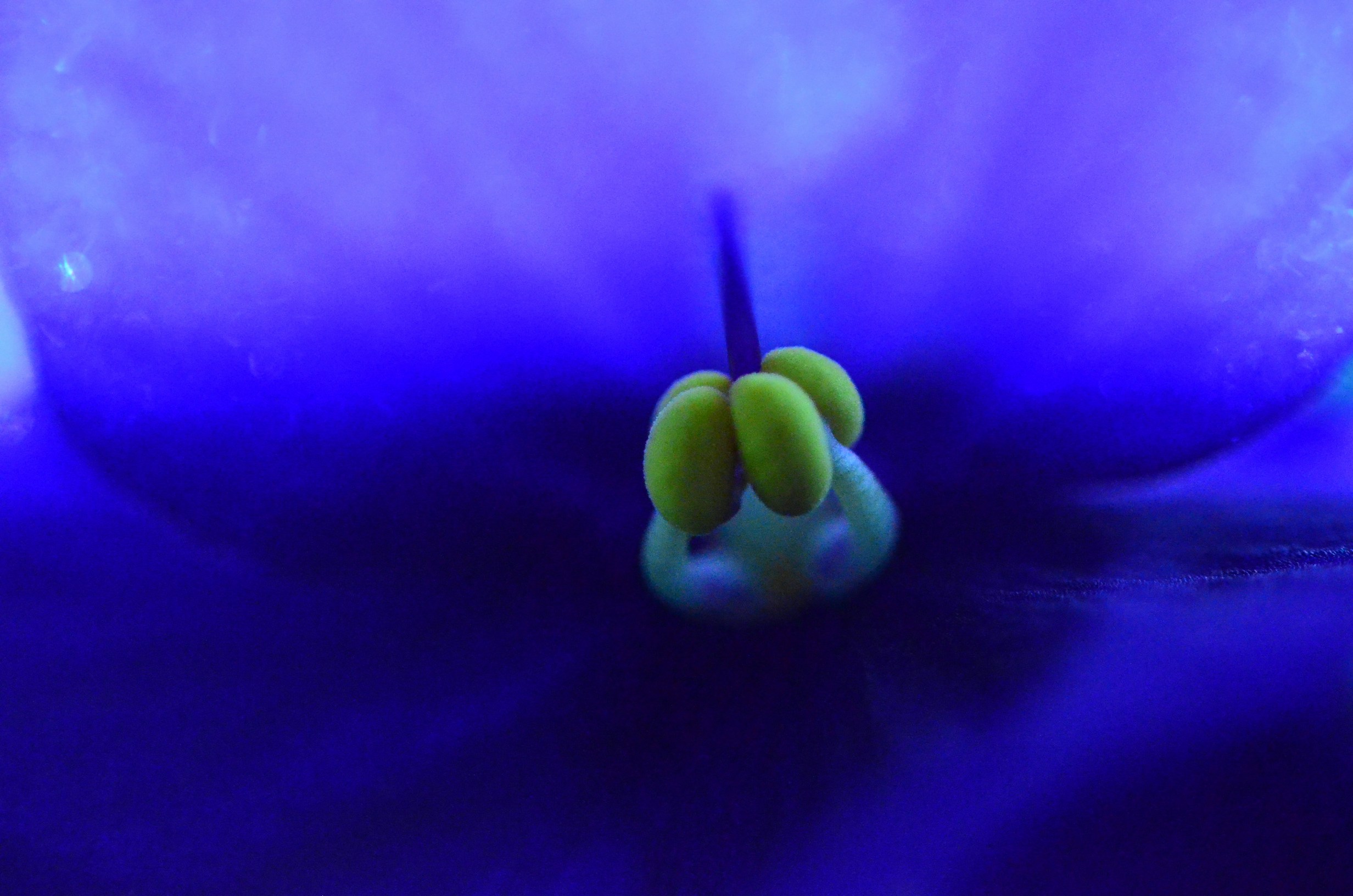 Free Unsplash photo from TRISHA LUNA