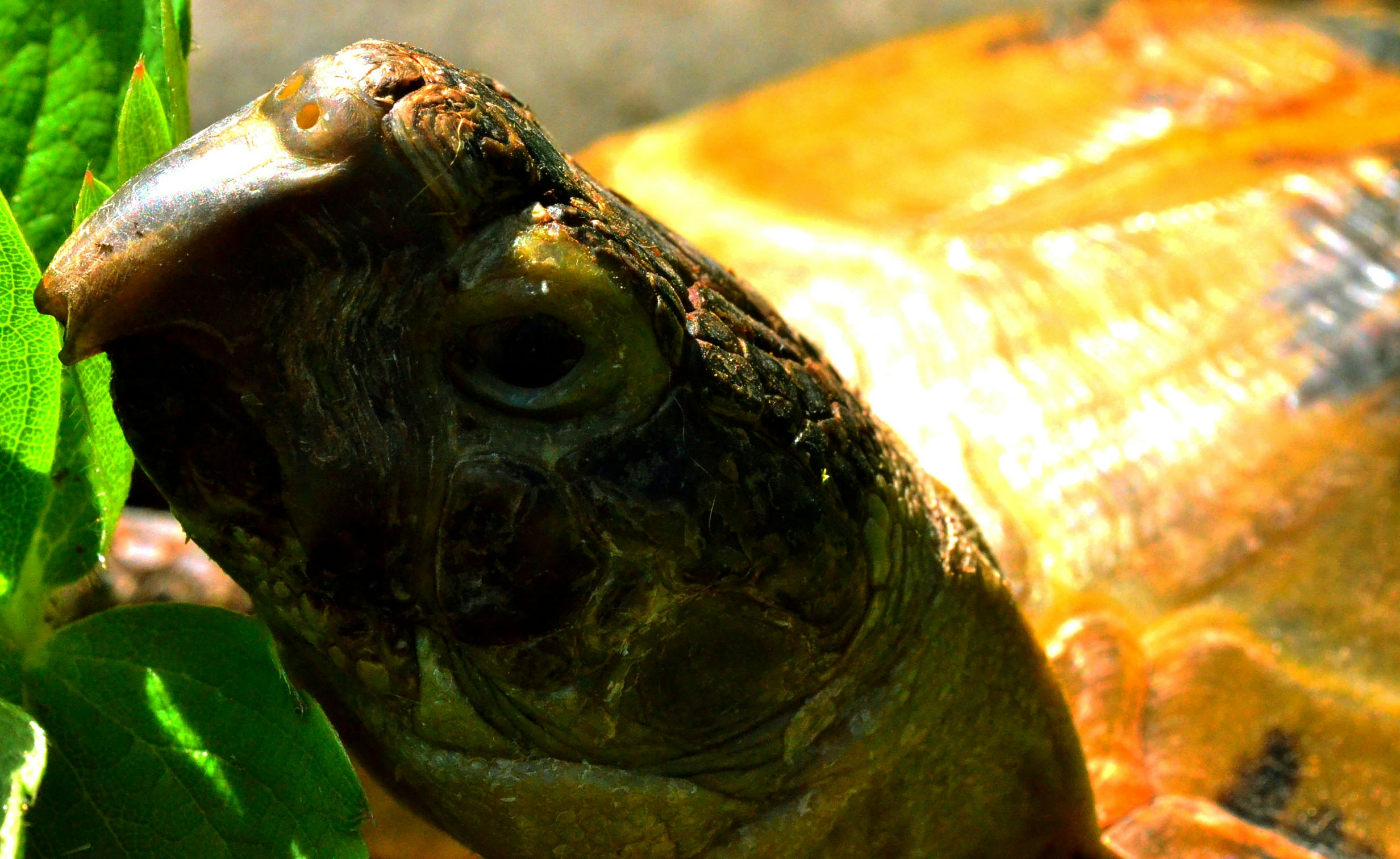 Free Unsplash photo from TRISHA LUNA