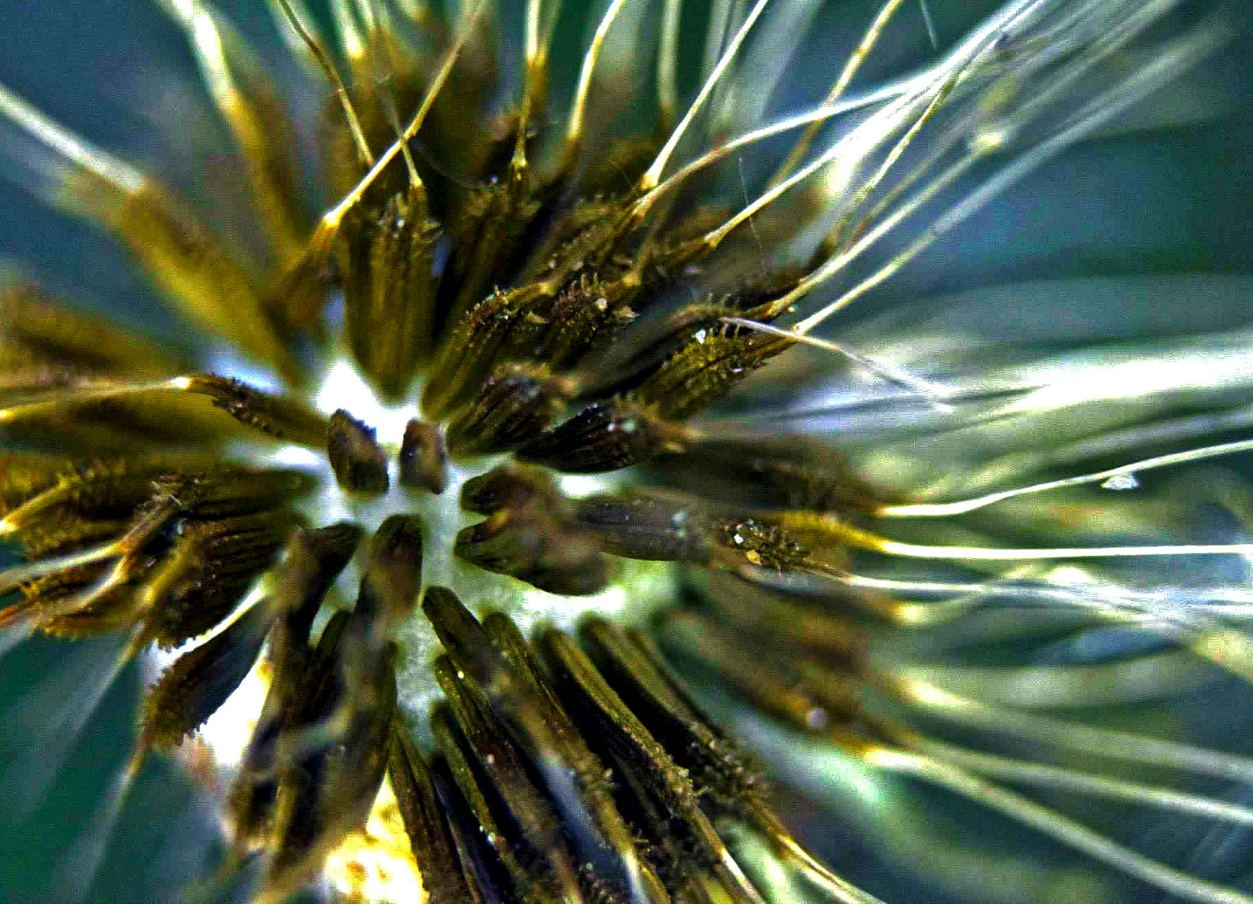 Free Unsplash photo from TRISHA LUNA