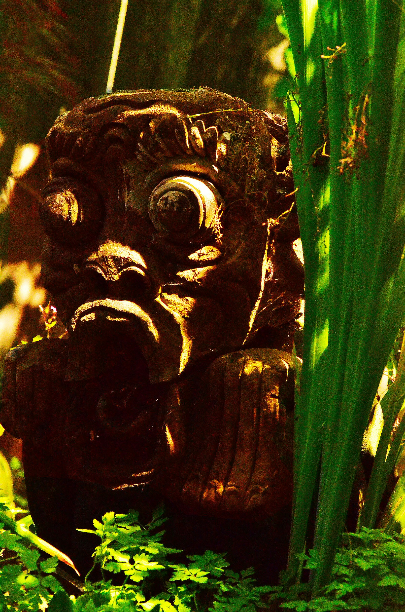 Free Unsplash photo from TRISHA LUNA