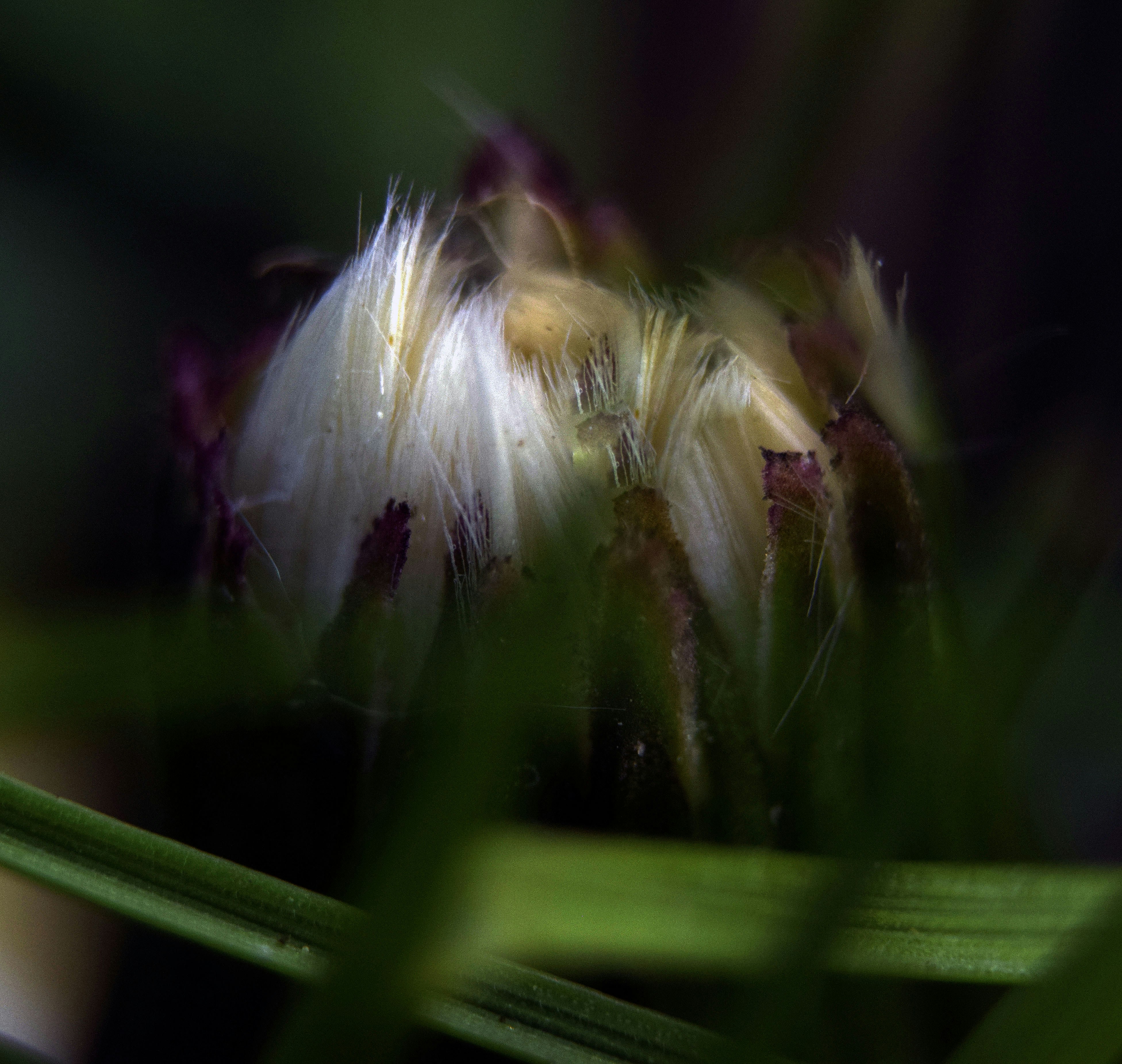 Free Unsplash photo from TRISHA LUNA