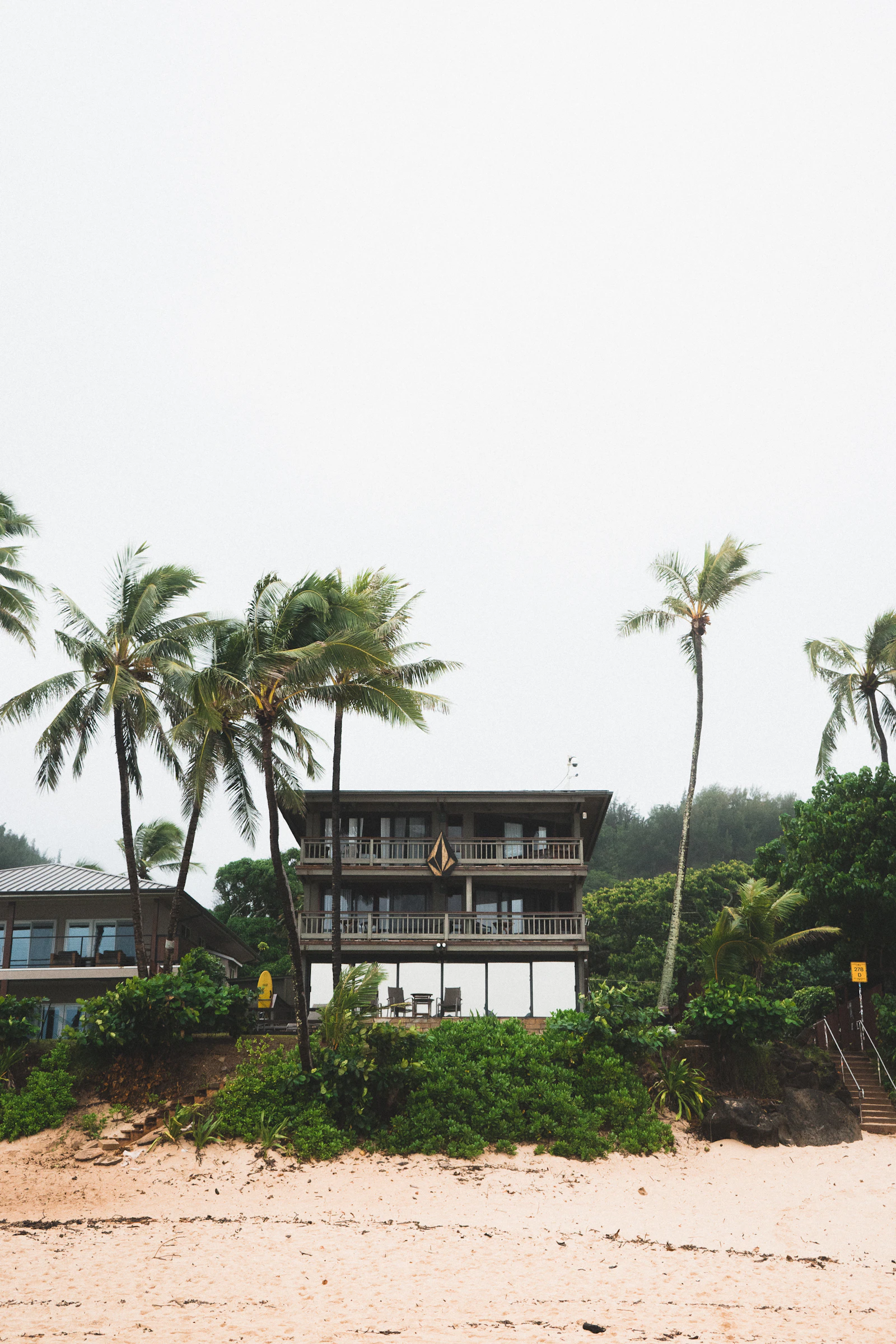 Tropical vacation home framed by palm trees