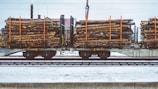 A train carrying large quantities of timber logs secured with orange straps on flatbed railcars. The scene takes place on a snowy railway track, suggesting cold weather conditions. The background shows industrial structures and electrical lines.