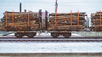 A train carrying large quantities of timber logs secured with orange straps on flatbed railcars. The scene takes place on a snowy railway track, suggesting cold weather conditions. The background shows industrial structures and electrical lines.
