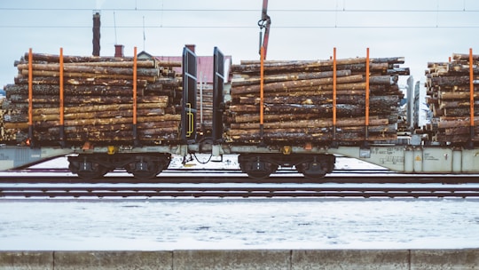 A train carrying large quantities of timber logs secured with orange straps on flatbed railcars. The scene takes place on a snowy railway track, suggesting cold weather conditions. The background shows industrial structures and electrical lines.