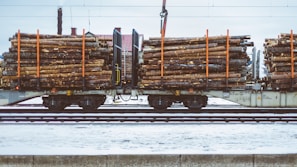 A train carrying large quantities of timber logs secured with orange straps on flatbed railcars. The scene takes place on a snowy railway track, suggesting cold weather conditions. The background shows industrial structures and electrical lines.