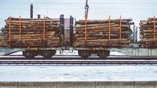 A train carrying large quantities of timber logs secured with orange straps on flatbed railcars. The scene takes place on a snowy railway track, suggesting cold weather conditions. The background shows industrial structures and electrical lines.