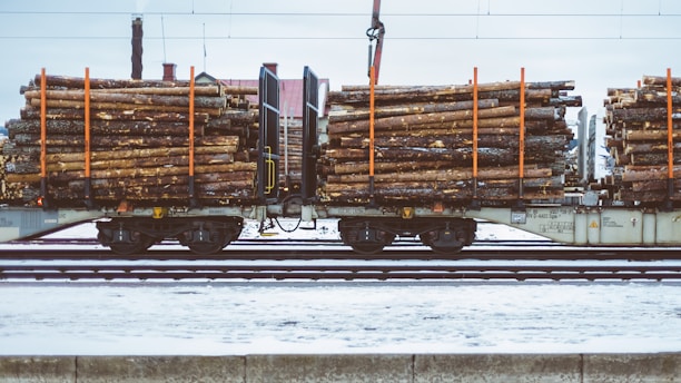 A train carrying large quantities of timber logs secured with orange straps on flatbed railcars. The scene takes place on a snowy railway track, suggesting cold weather conditions. The background shows industrial structures and electrical lines.