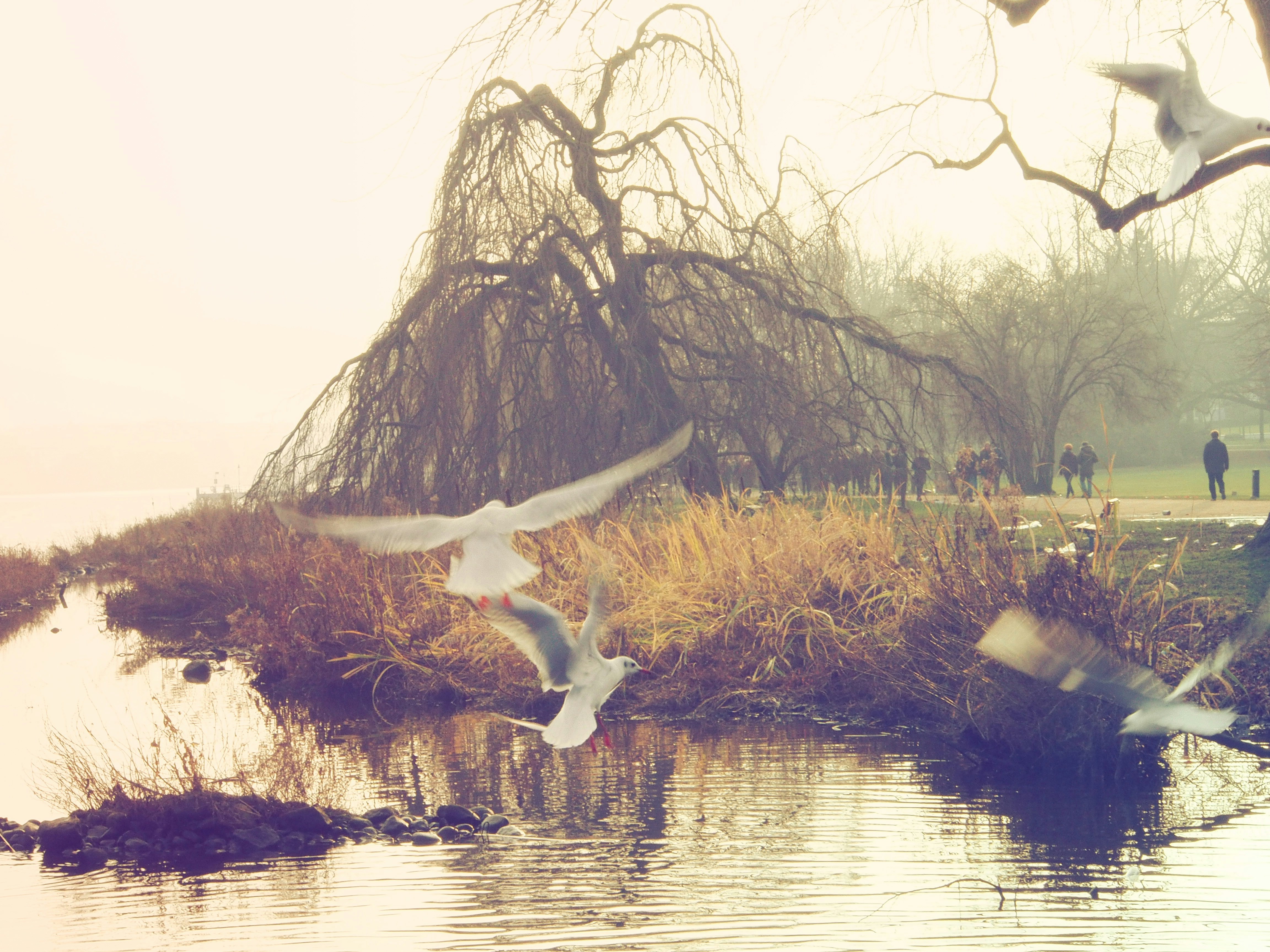 Free Unsplash photo from Florian Schleinig