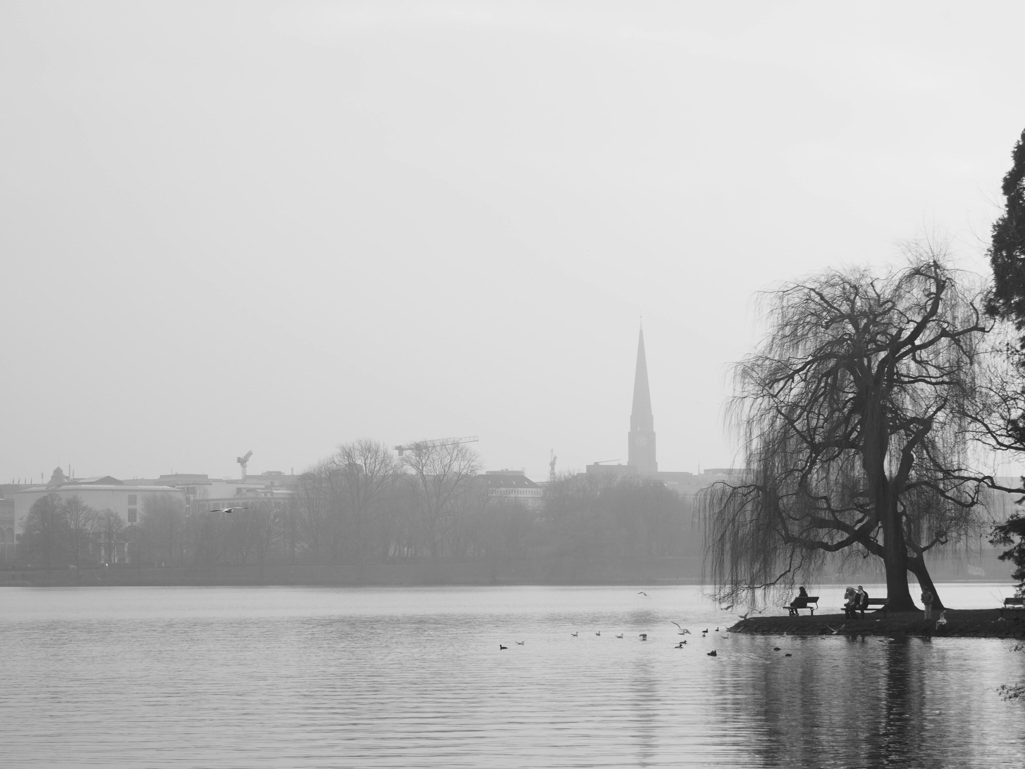 Free Unsplash photo from Florian Schleinig