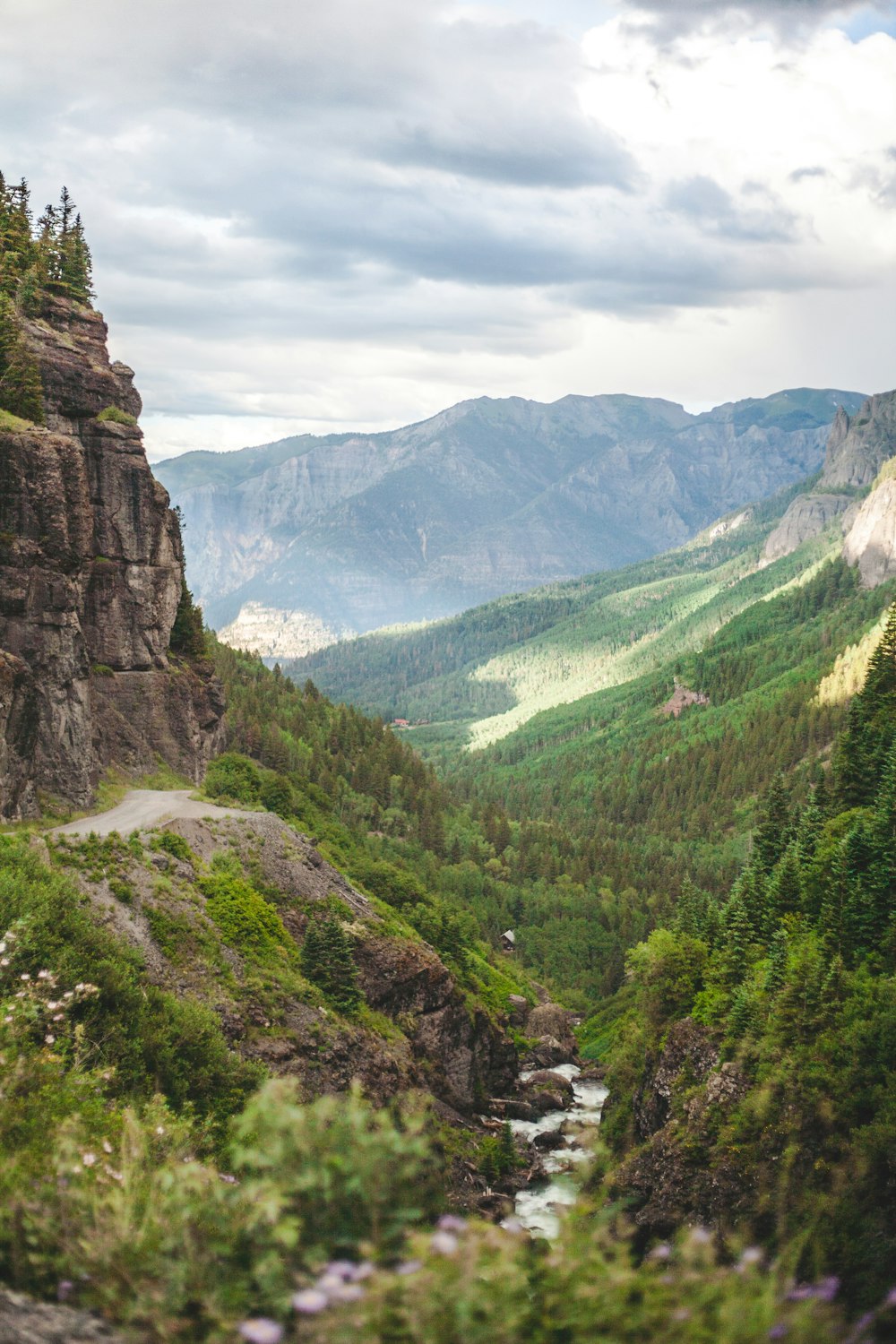 green plants surround brown cliffs during daytime