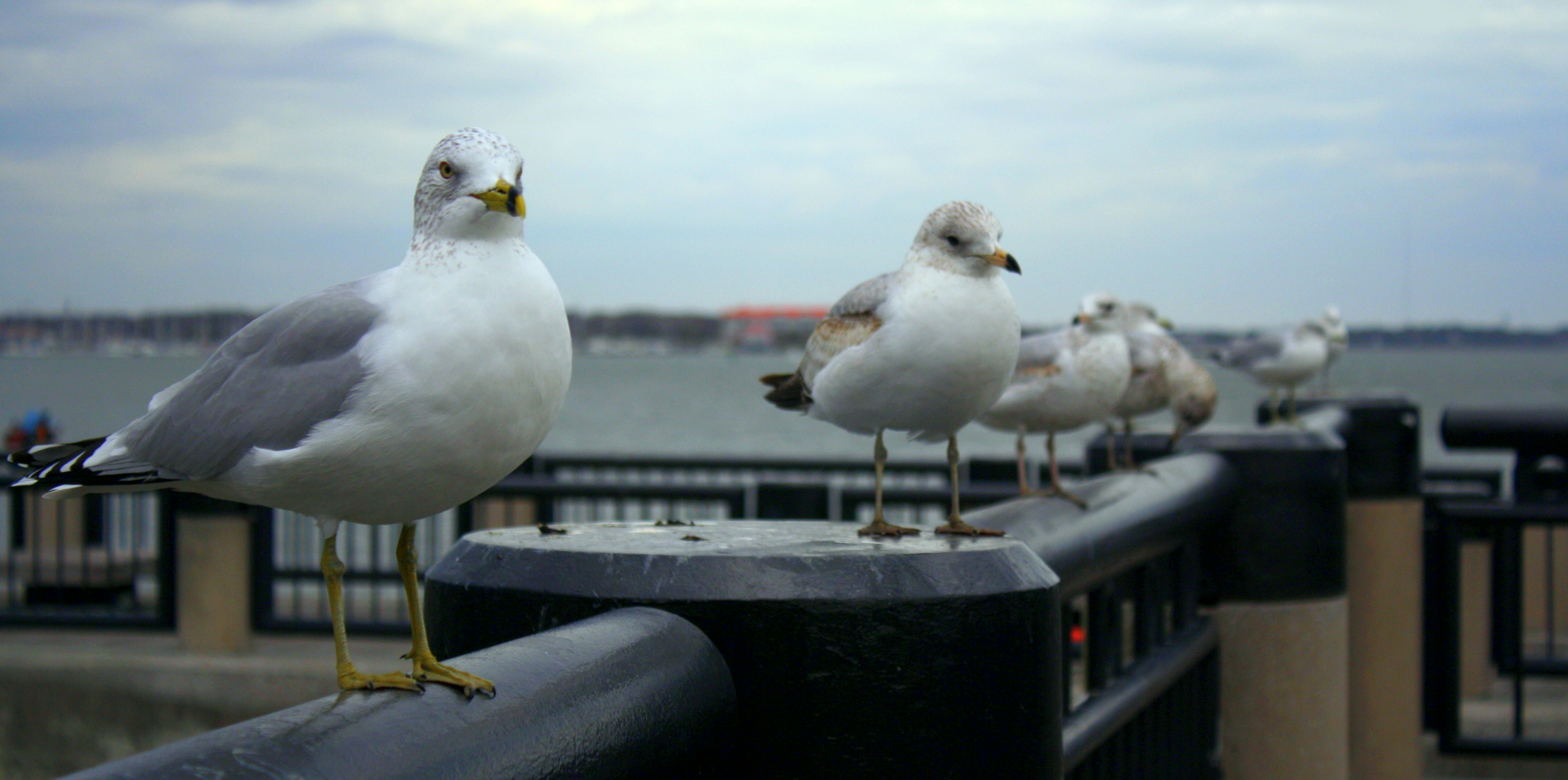 Free Unsplash photo from ASHLEY OUTLAW