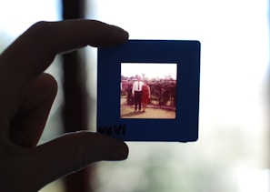 A hand is holding up a photographic slide, featuring two people standing closely together in a garden setting. The man is wearing a formal suit and the woman is in a patterned dress. The background consists of greenery and a fence.