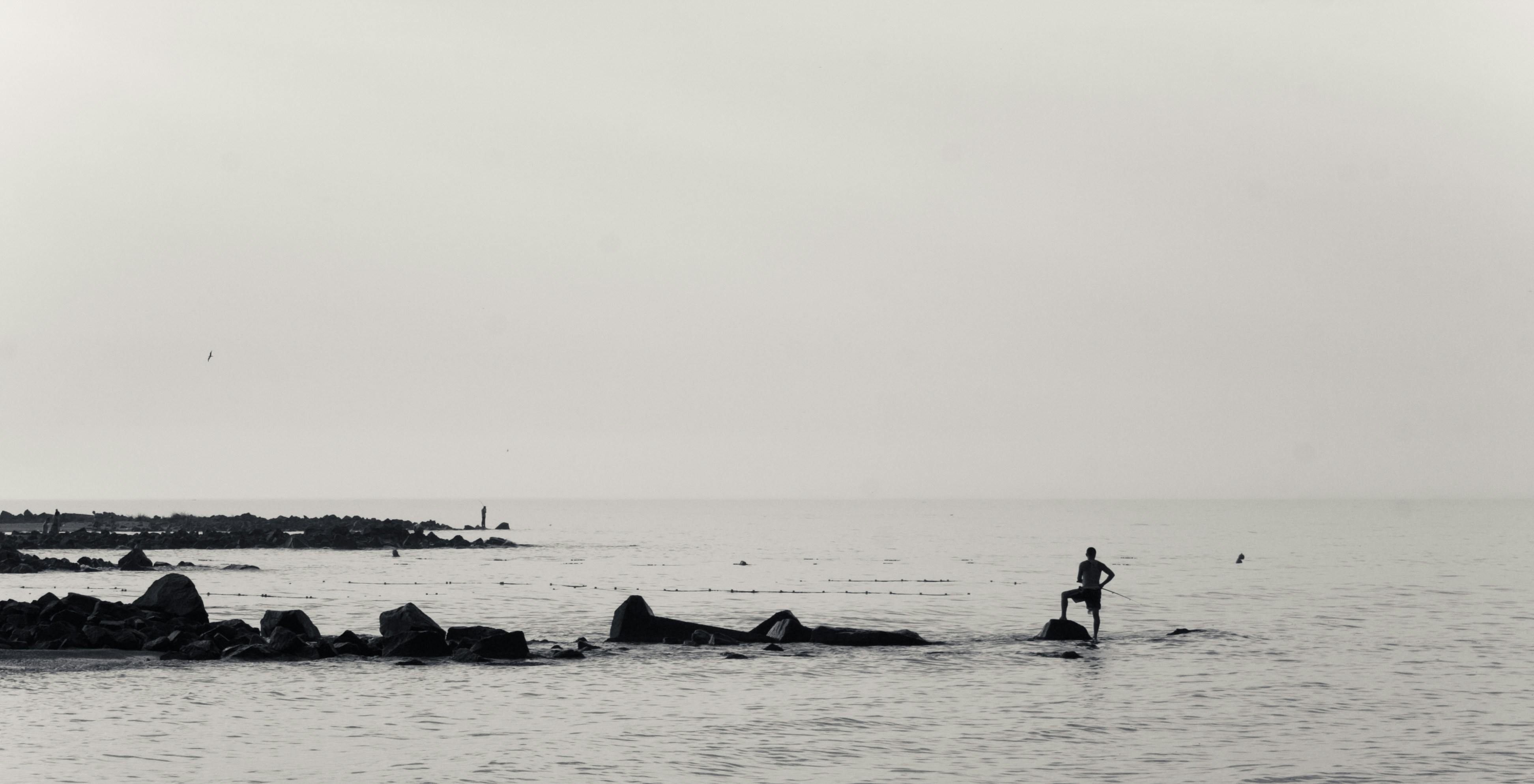 Free Unsplash photo from stepan s