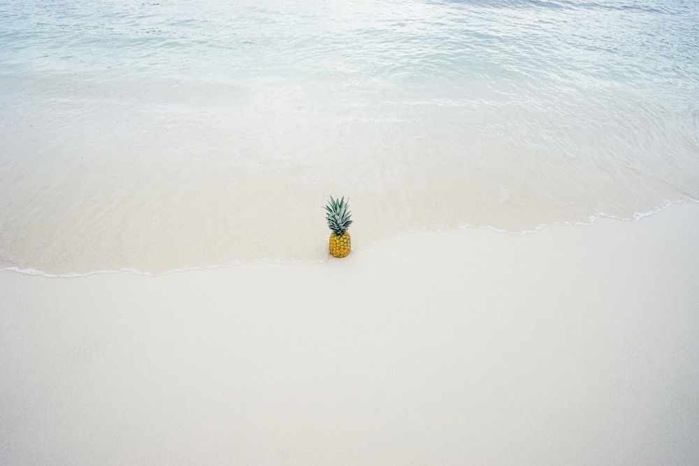 Ananas sulla spiaggia di sabbia bianca