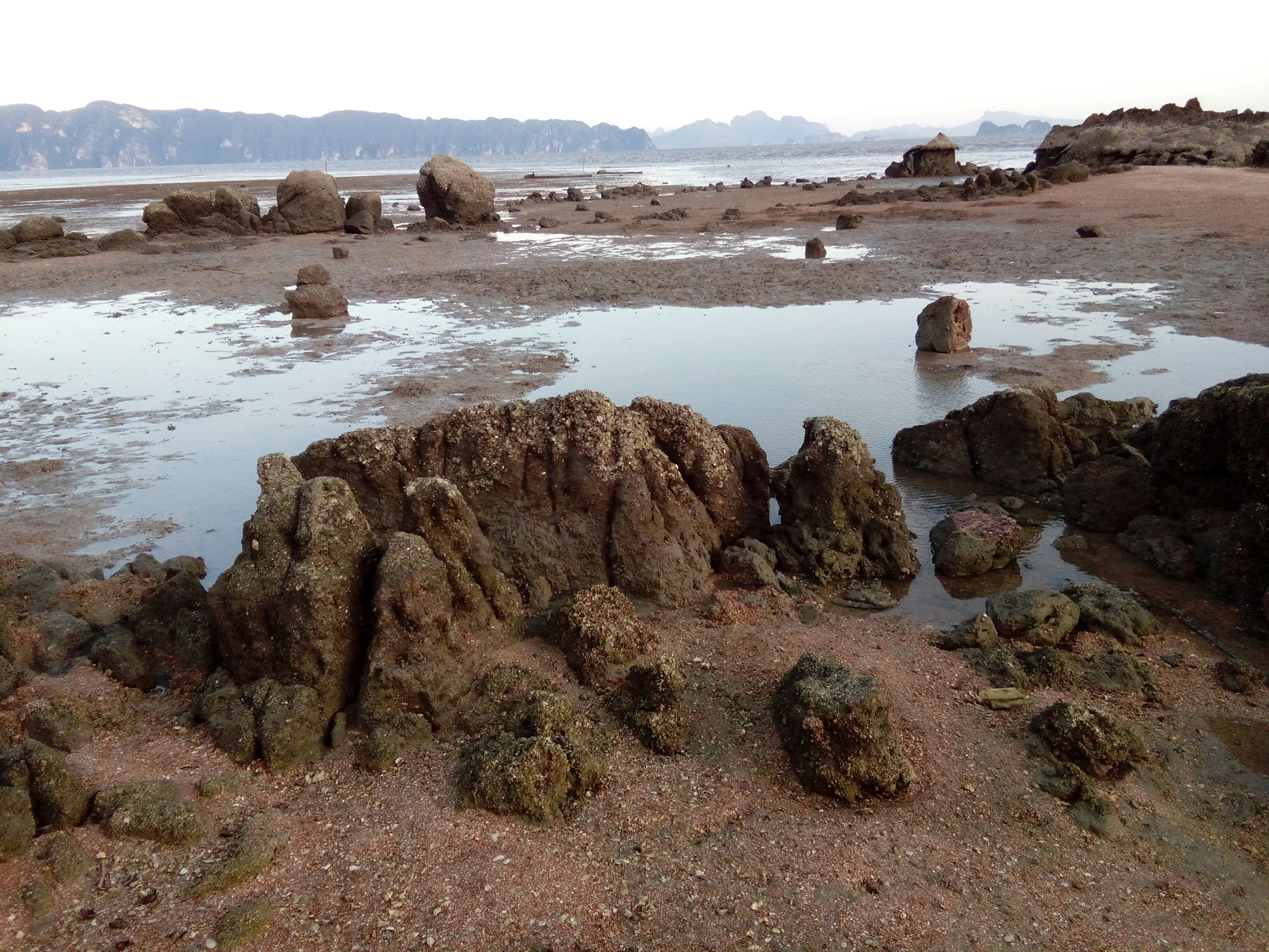 Free Unsplash photo from Royhan Mahara