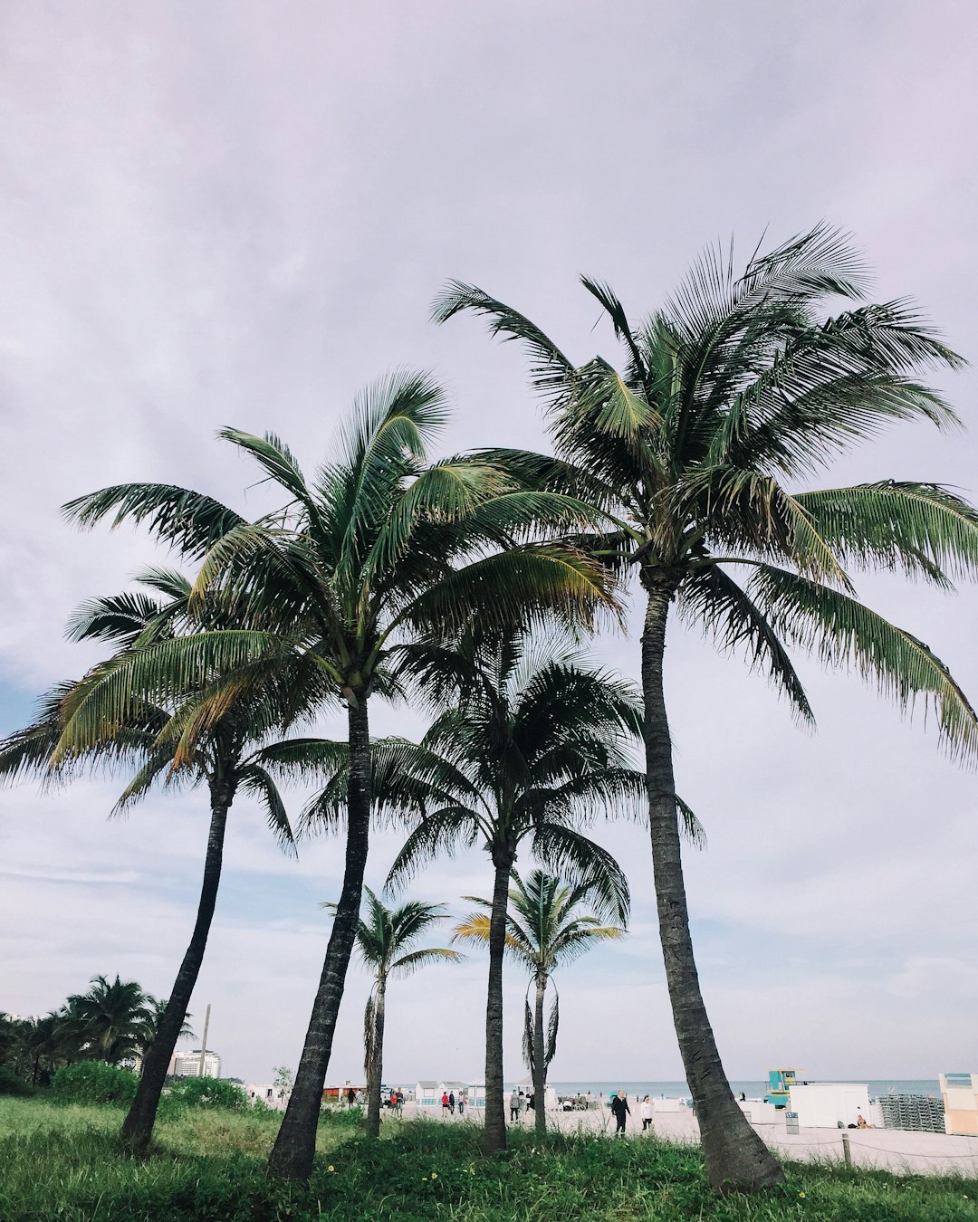 Tropics photo spot South Beach United States