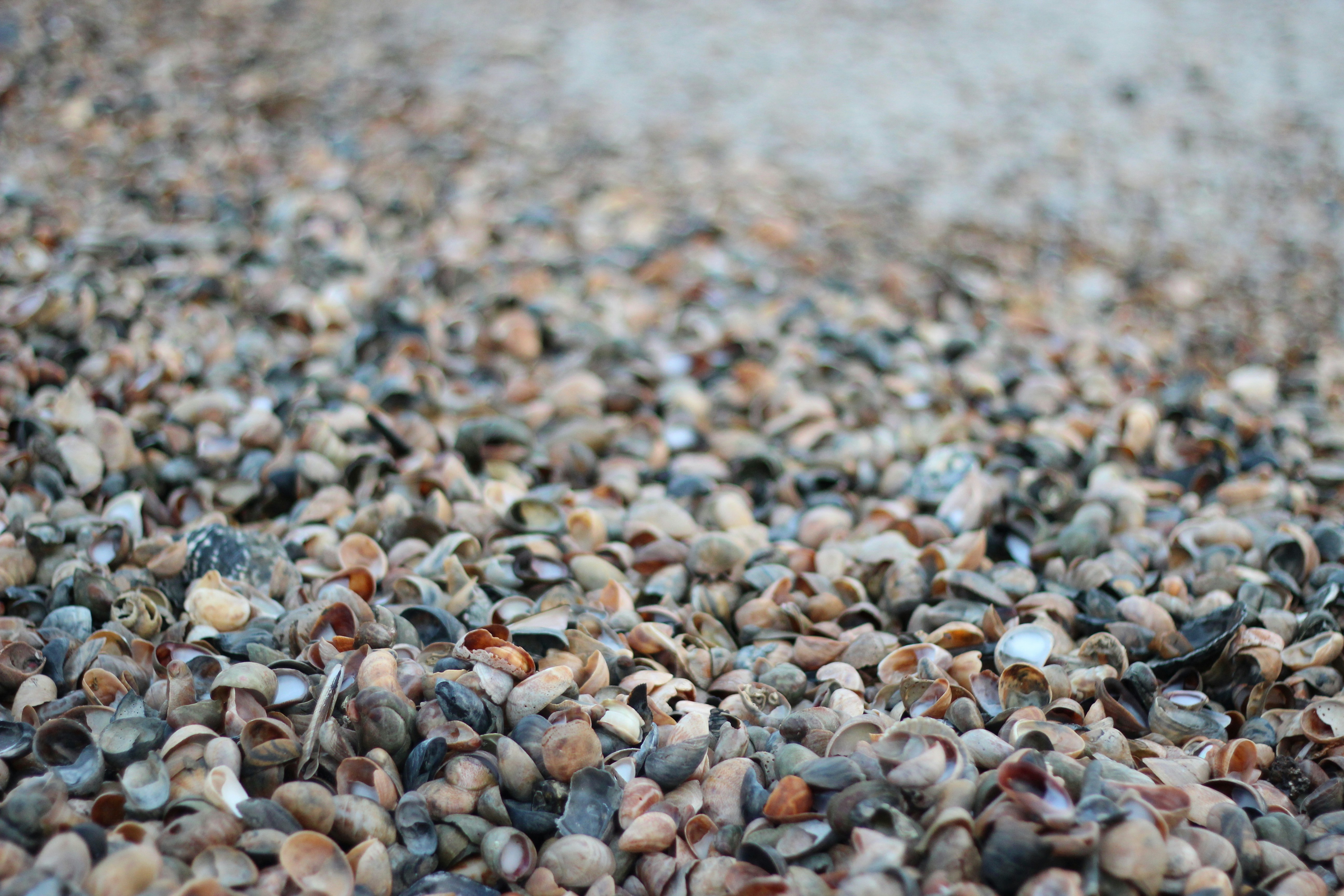 Free Unsplash photo from William St James