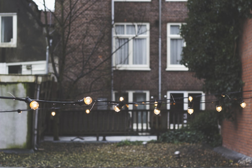 lighted bulbs at daytime