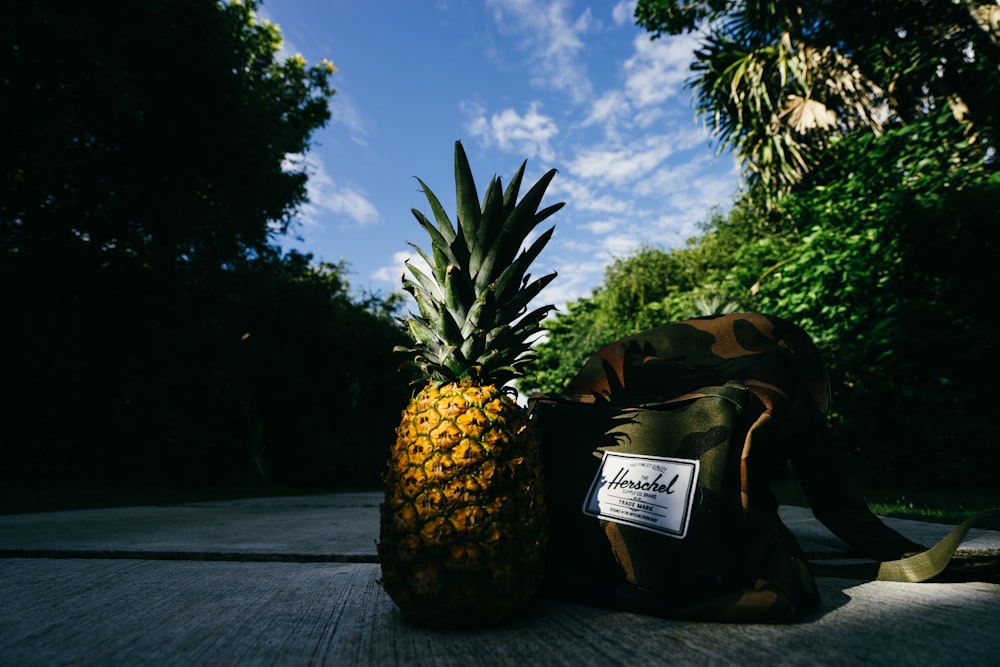frutta dell'ananas accanto alla borsa a tracolla Herschel sulla strada di cemento grigio