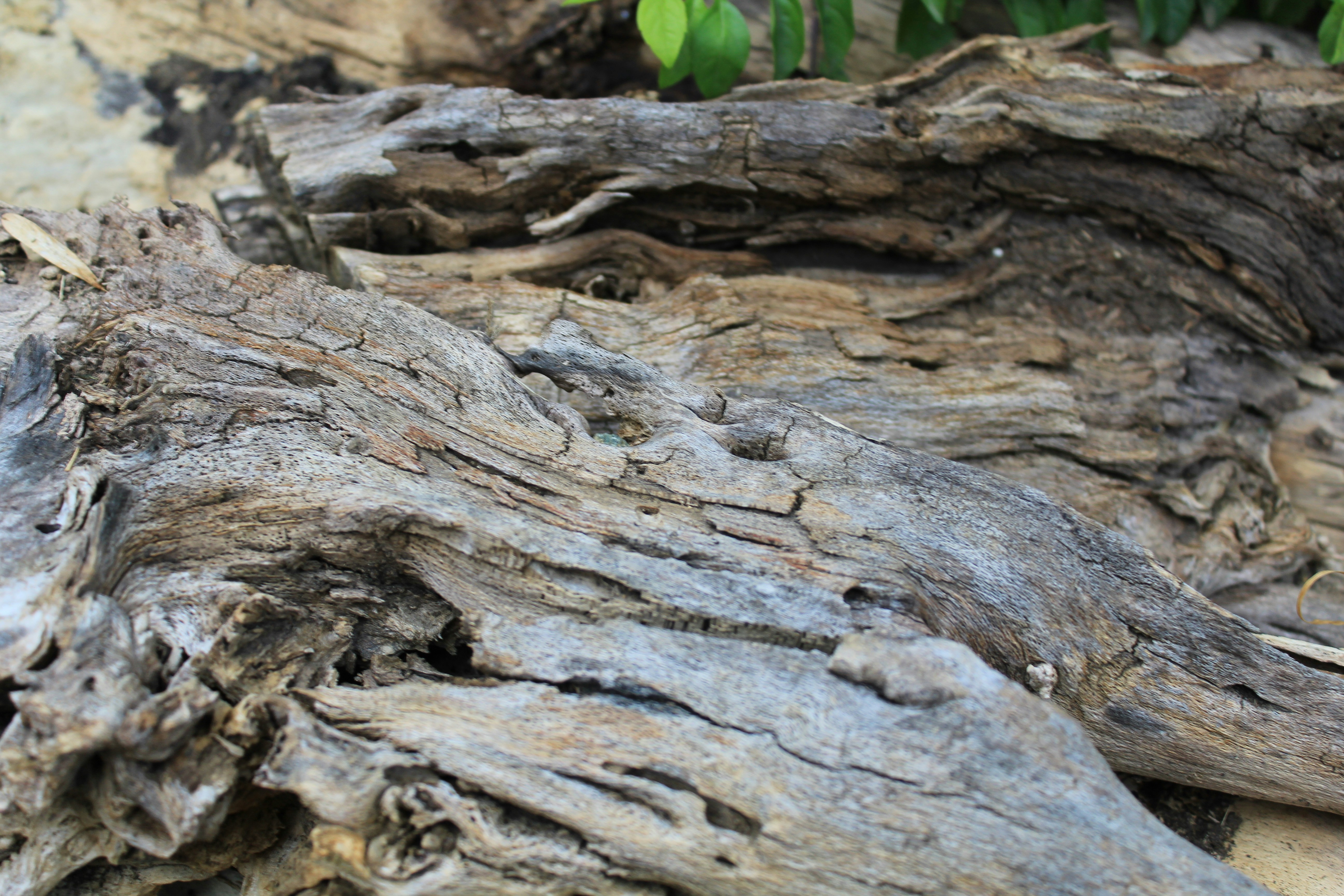 Free Unsplash photo from Jhon David