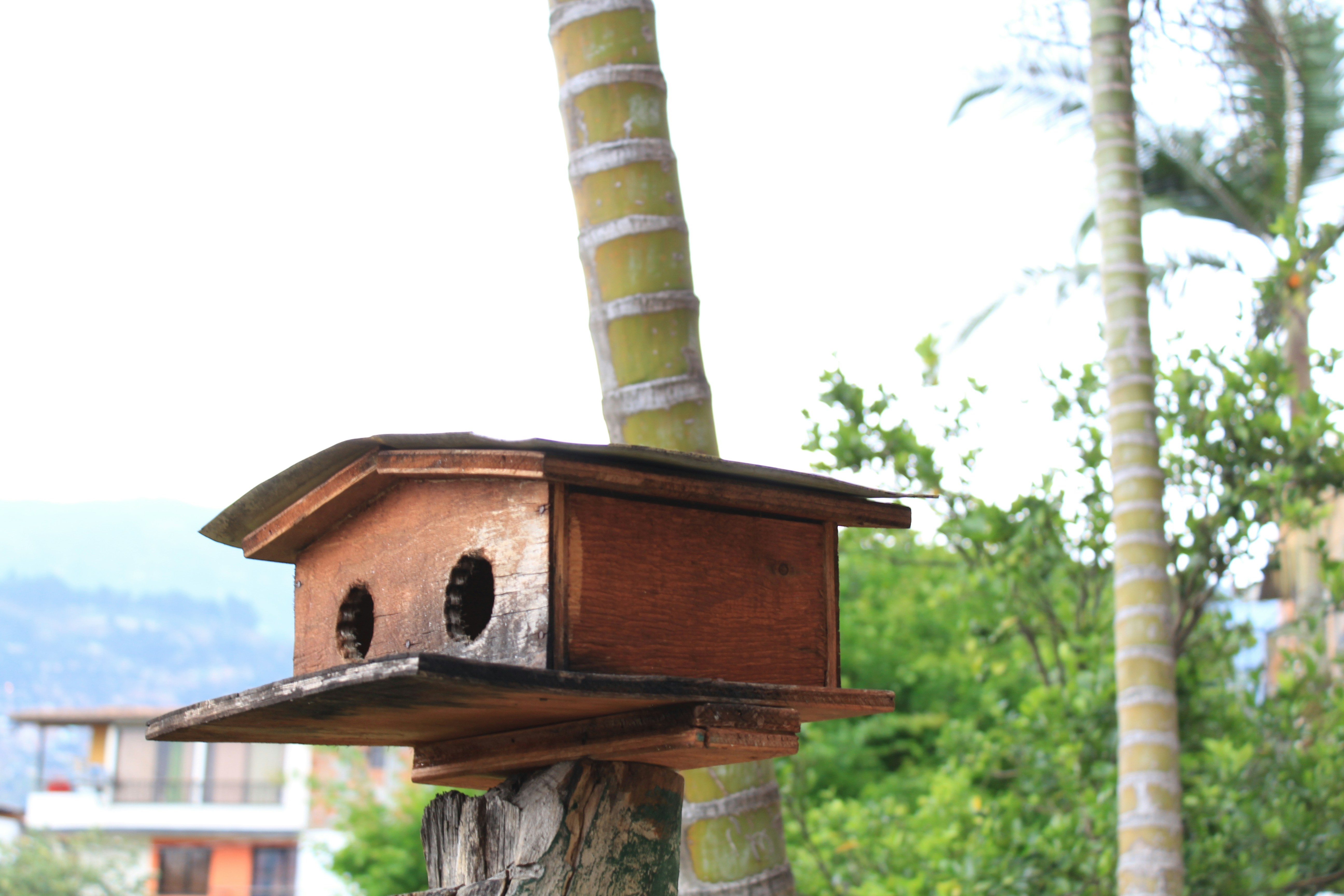 Free Unsplash photo from Jhon David