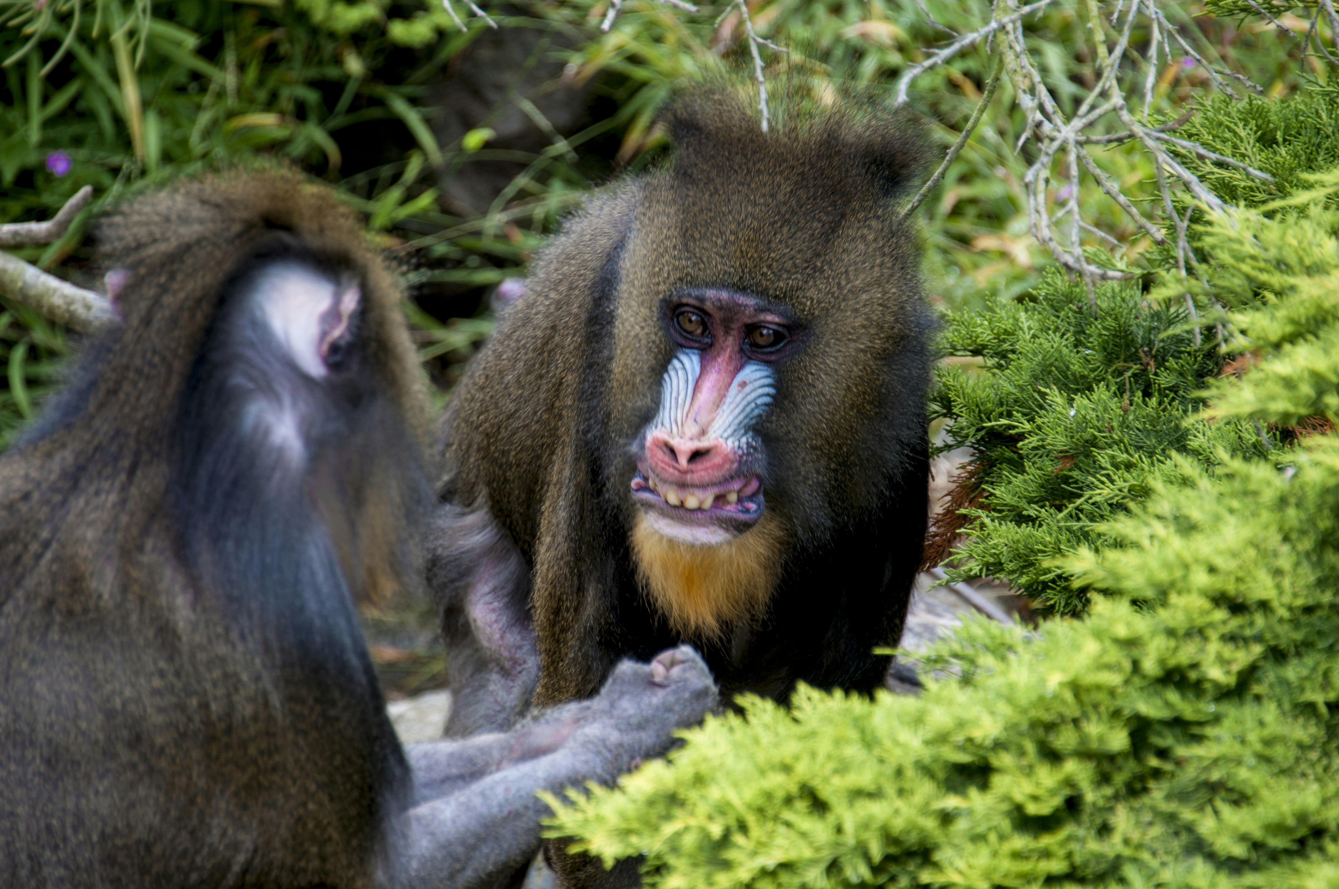 Free Unsplash photo from Jessica Weiller