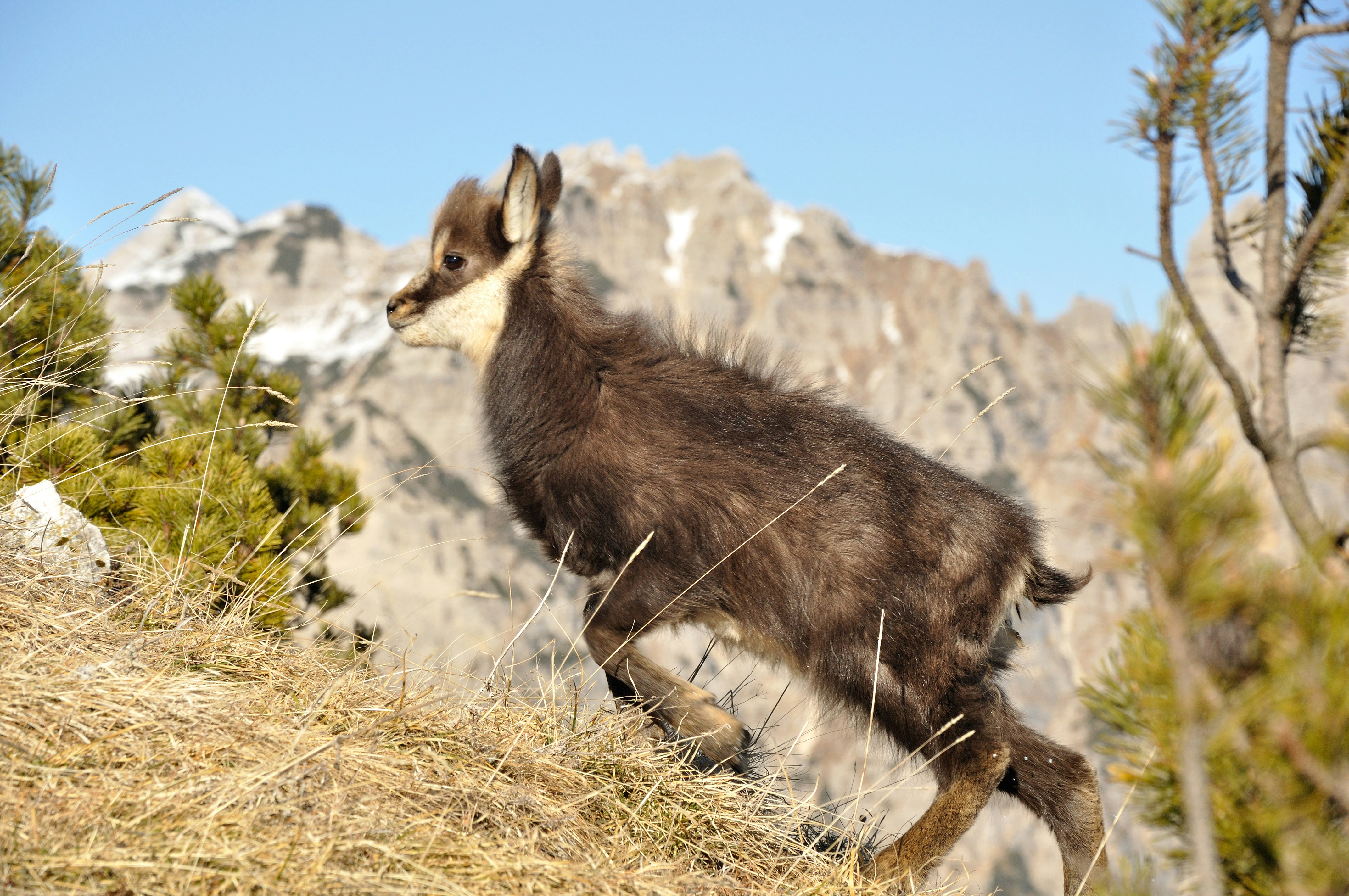 Free Unsplash photo from Alessandro Fongaro