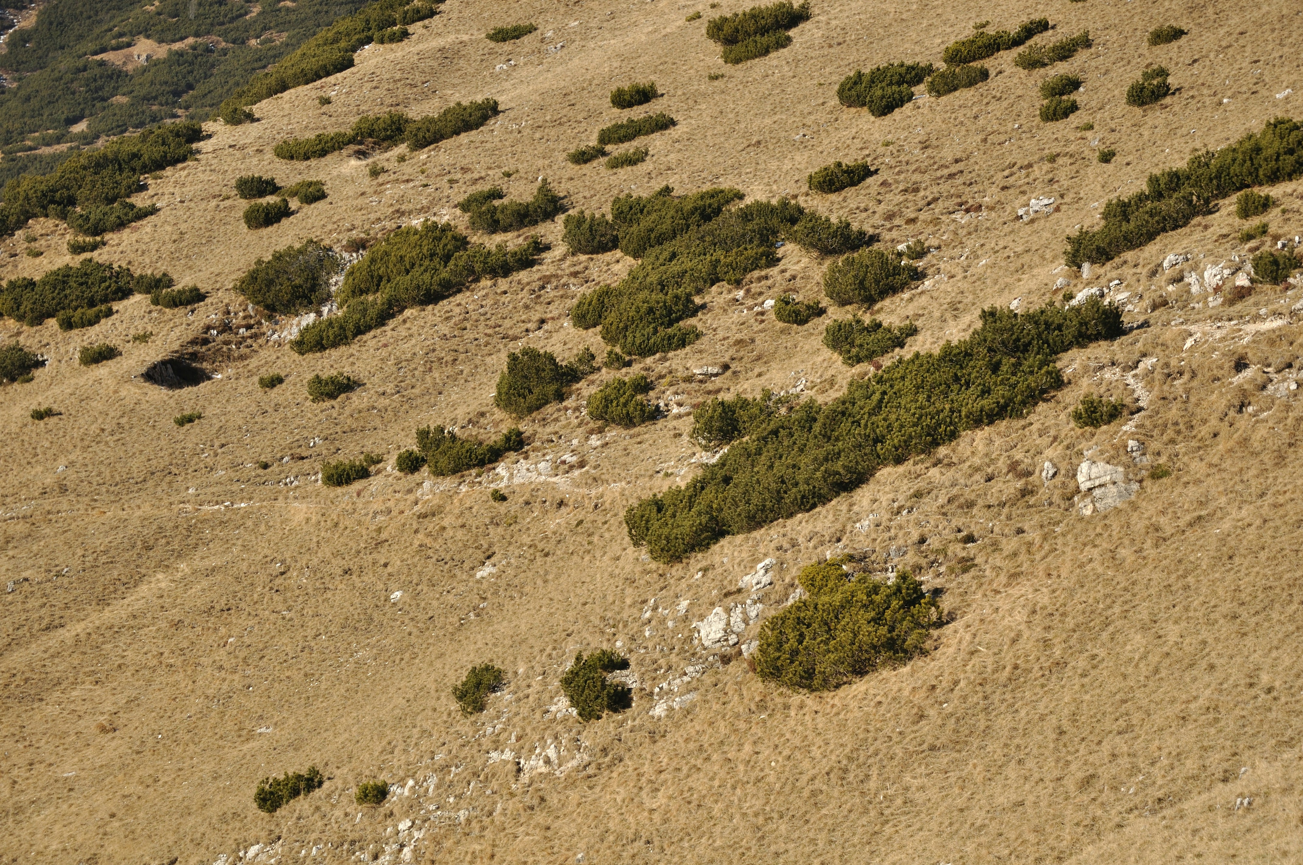 Free Unsplash photo from Alessandro Fongaro