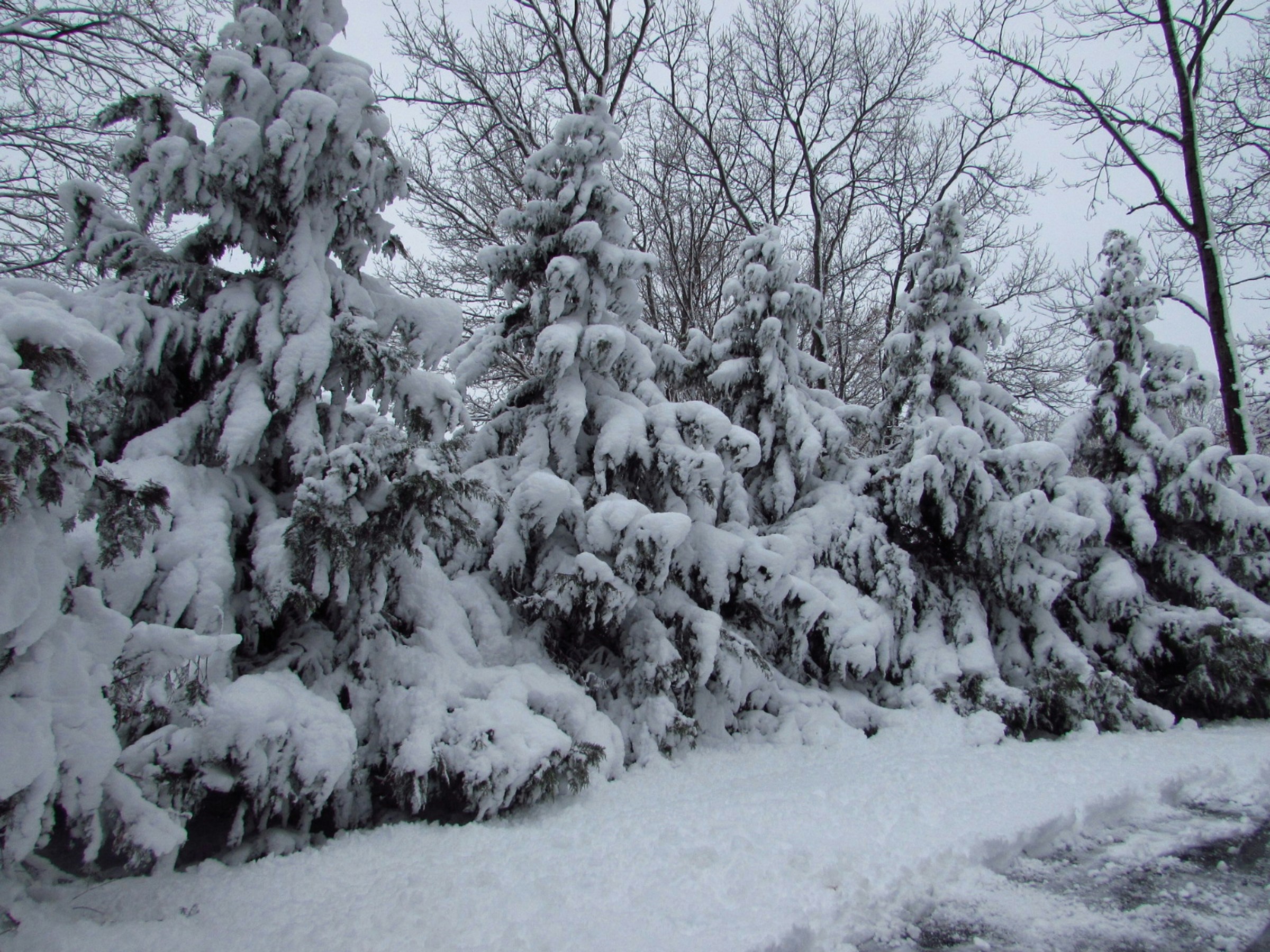 Free Unsplash photo from NY Metro Weather